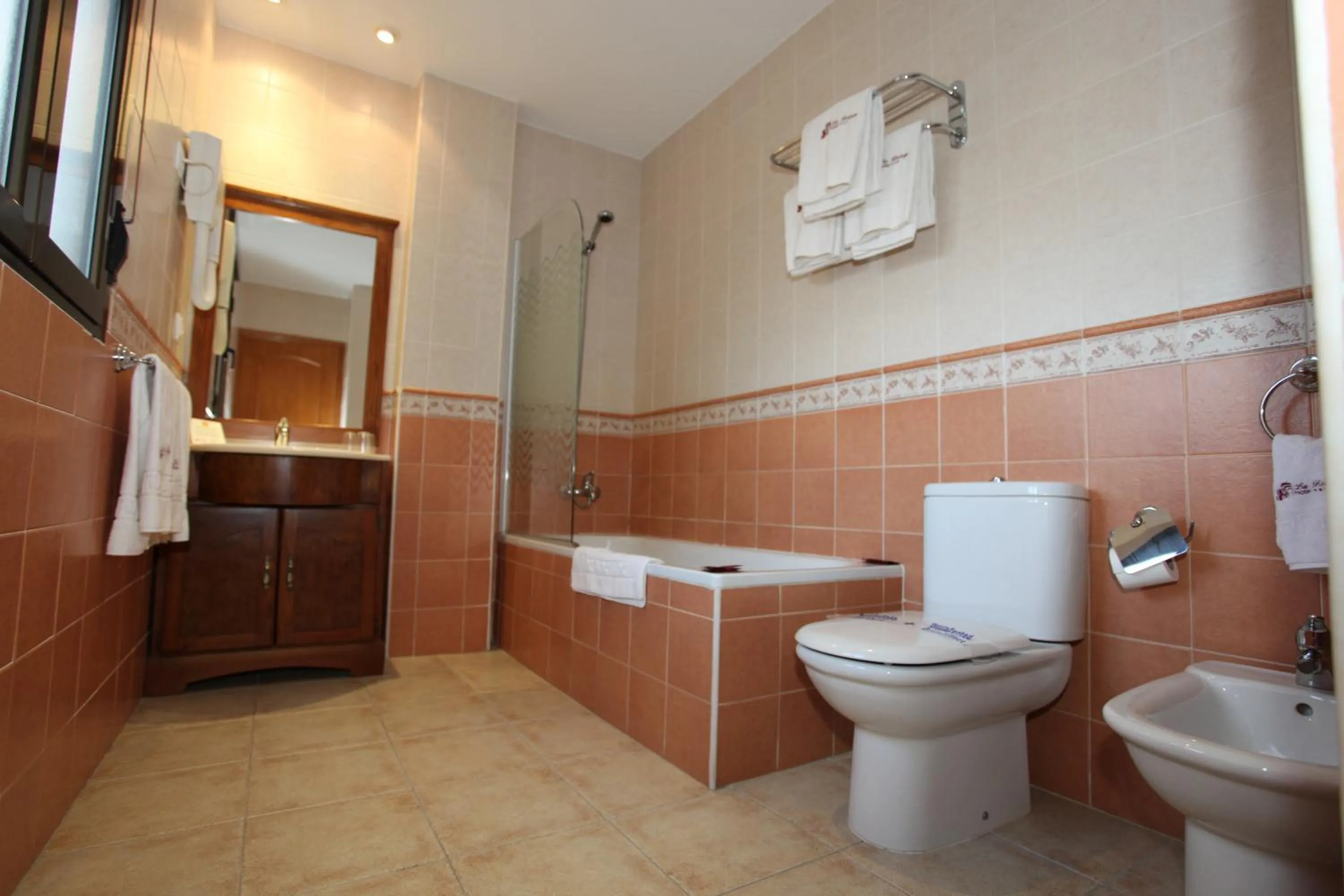 Triple Room in Hotel La Bodega