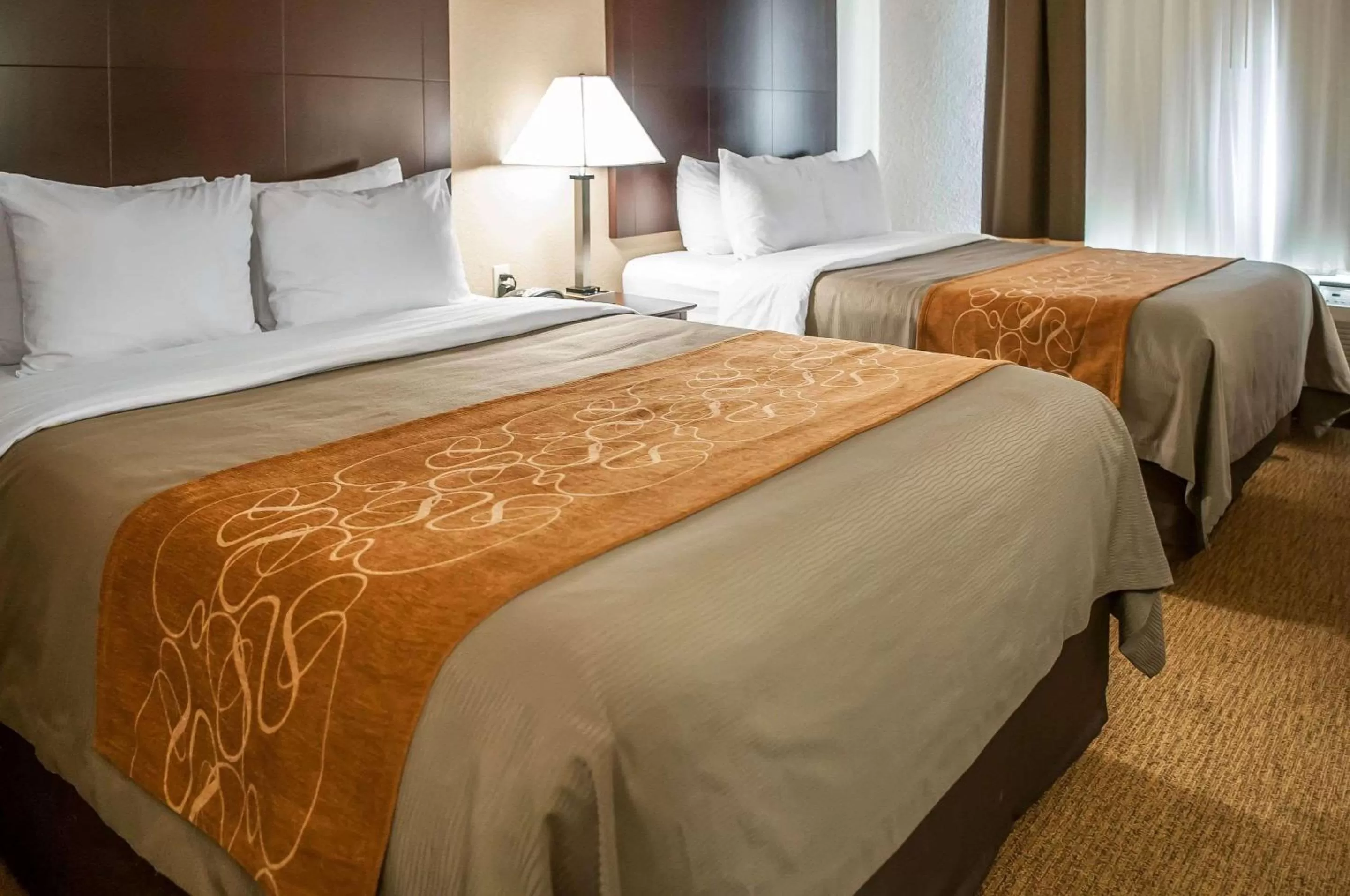 Queen Suite - Non-Smoking in Comfort Suites Albuquerque-North Journal Center