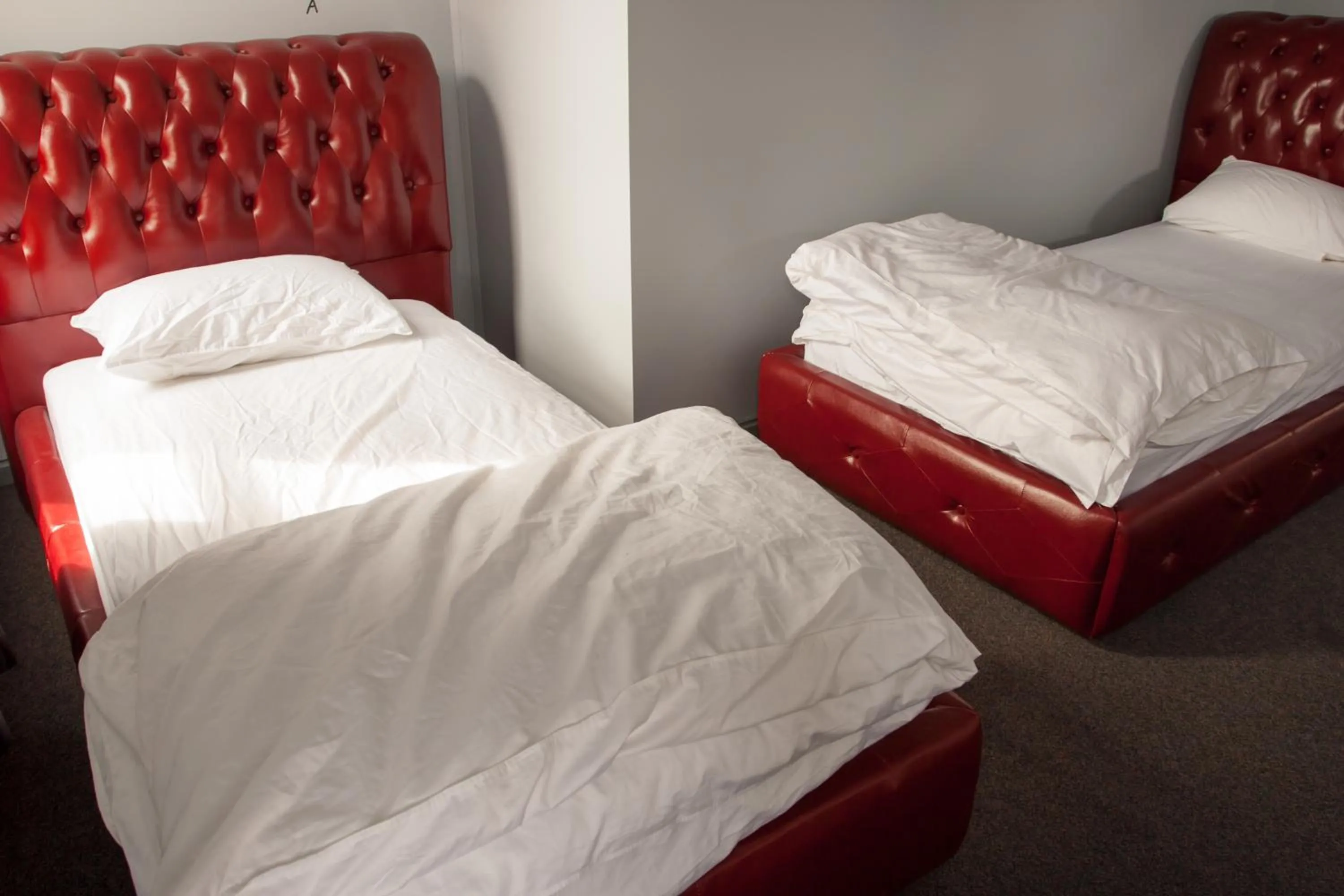 Single Bed in 7 Bed Female Dormitory Room in Backpackers Imperial Hotel