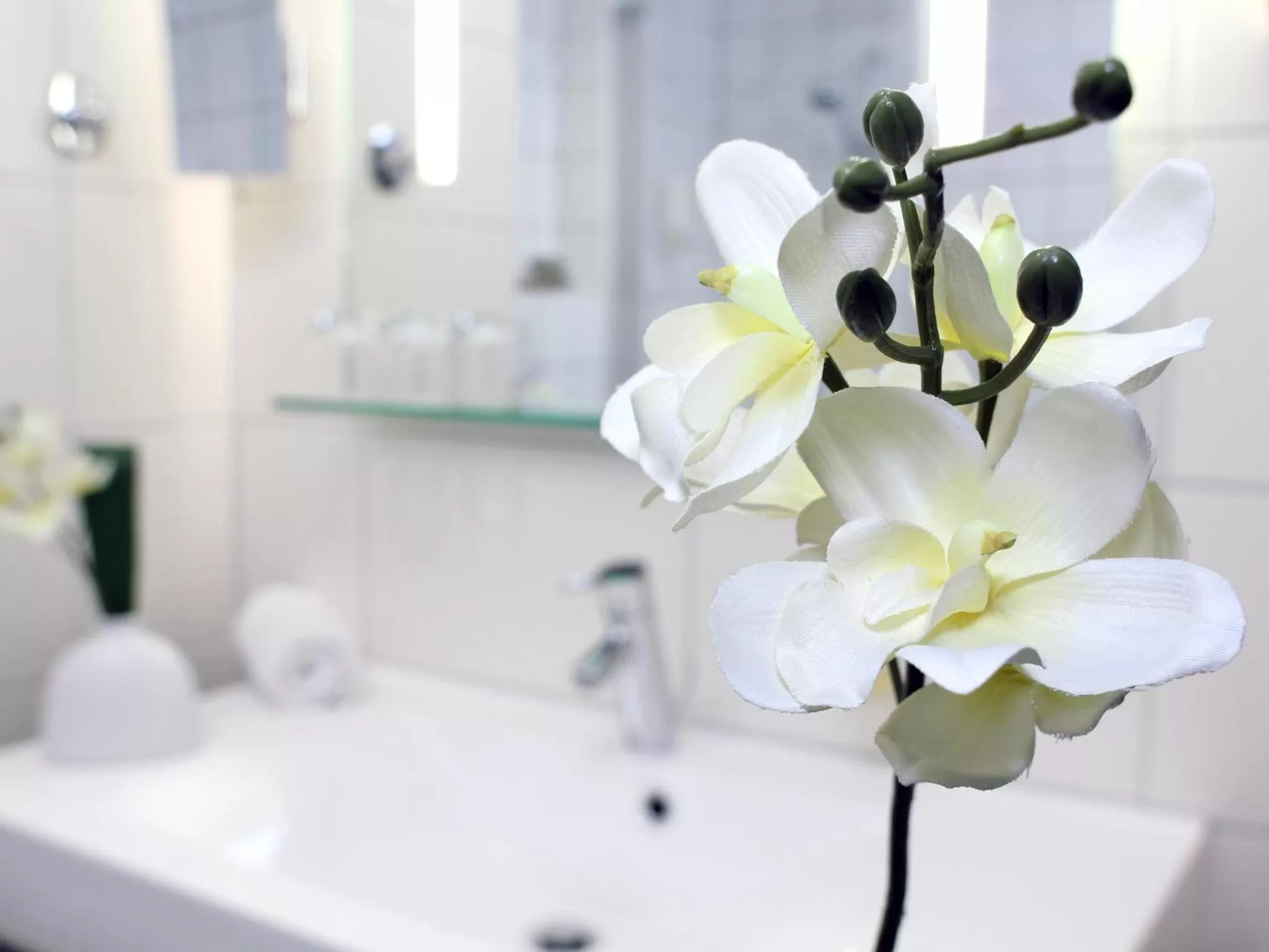 Economy Single Room in AMBER ECONTEL