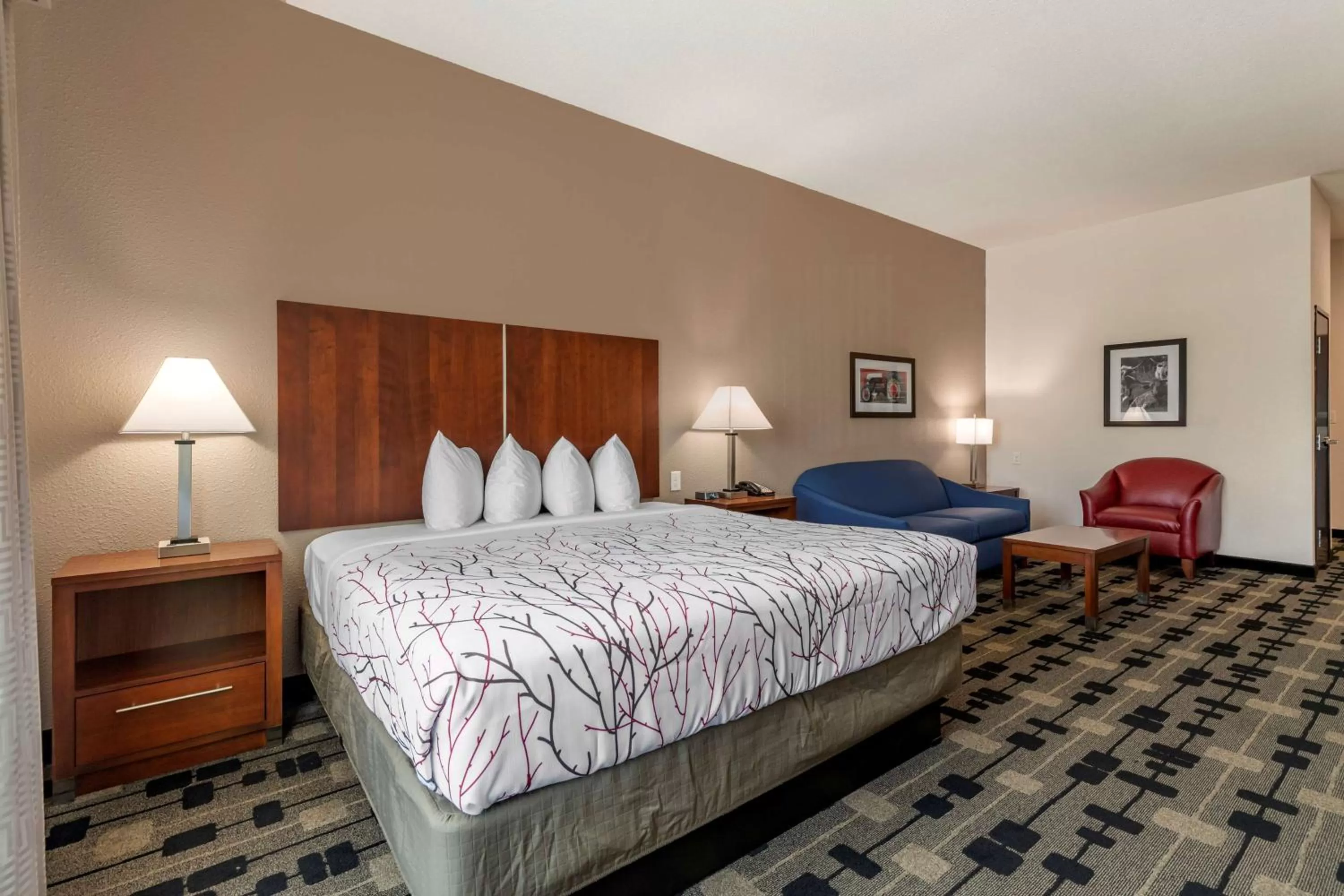 King Suite with Sofa Bed and Bathtub - Disability Access/Non-Smoking in Best Western Plus Big Lake Inn