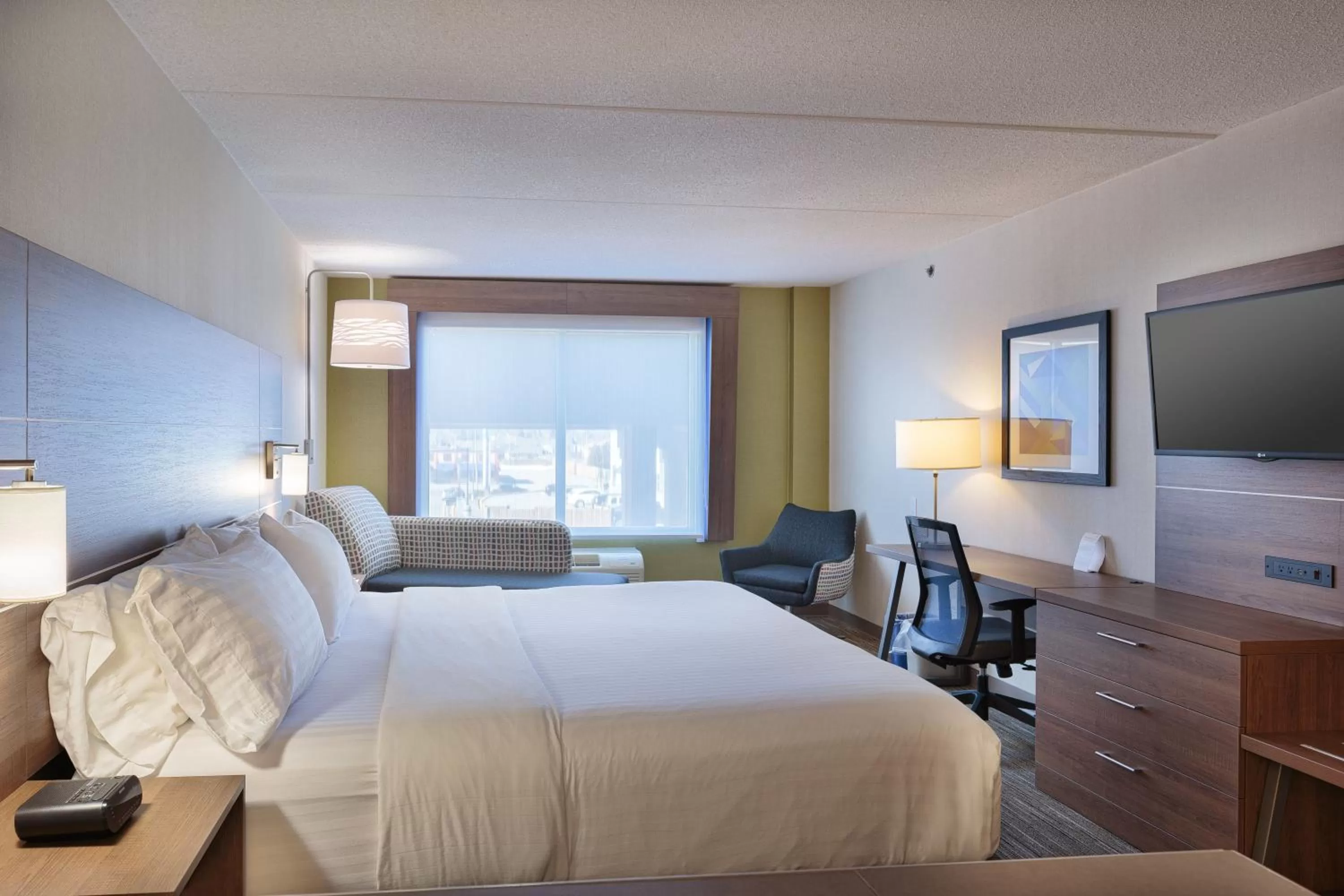 King Suite in Holiday Inn Express & Suites - Belleville by IHG