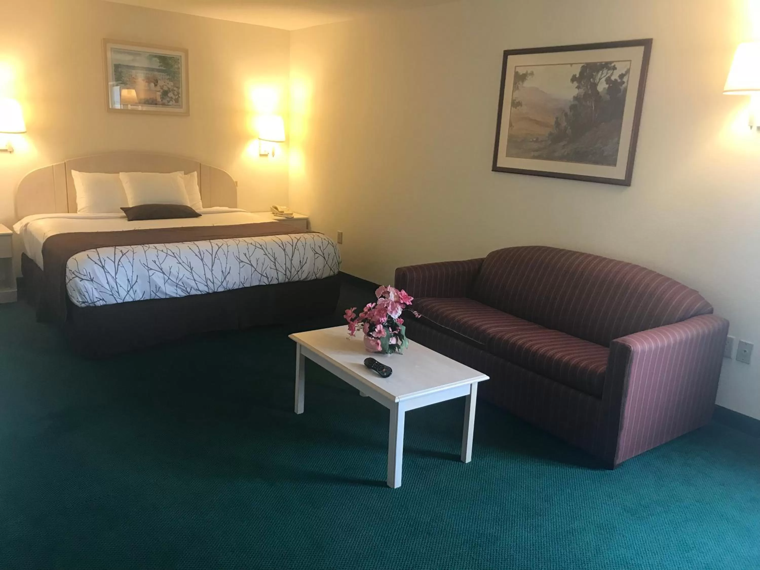 King Suite with Spa Bath - Non-Smoking in Americas Best Value Inn Pinckneyville