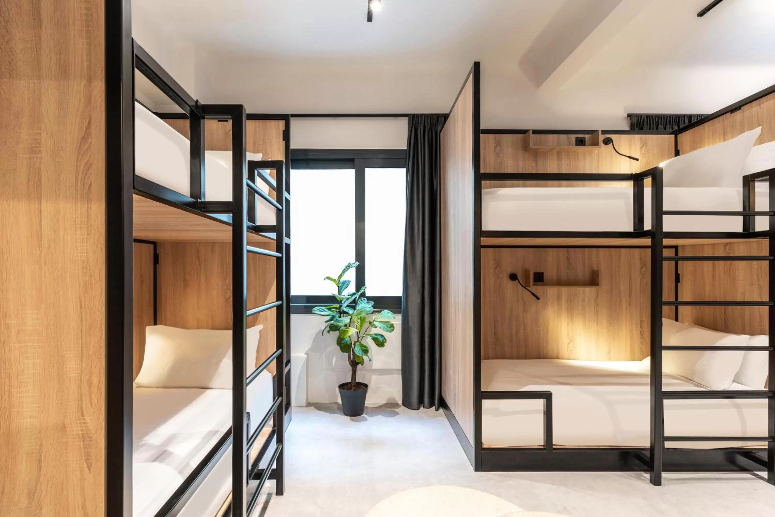 Deluxe Studio in PAME Wild