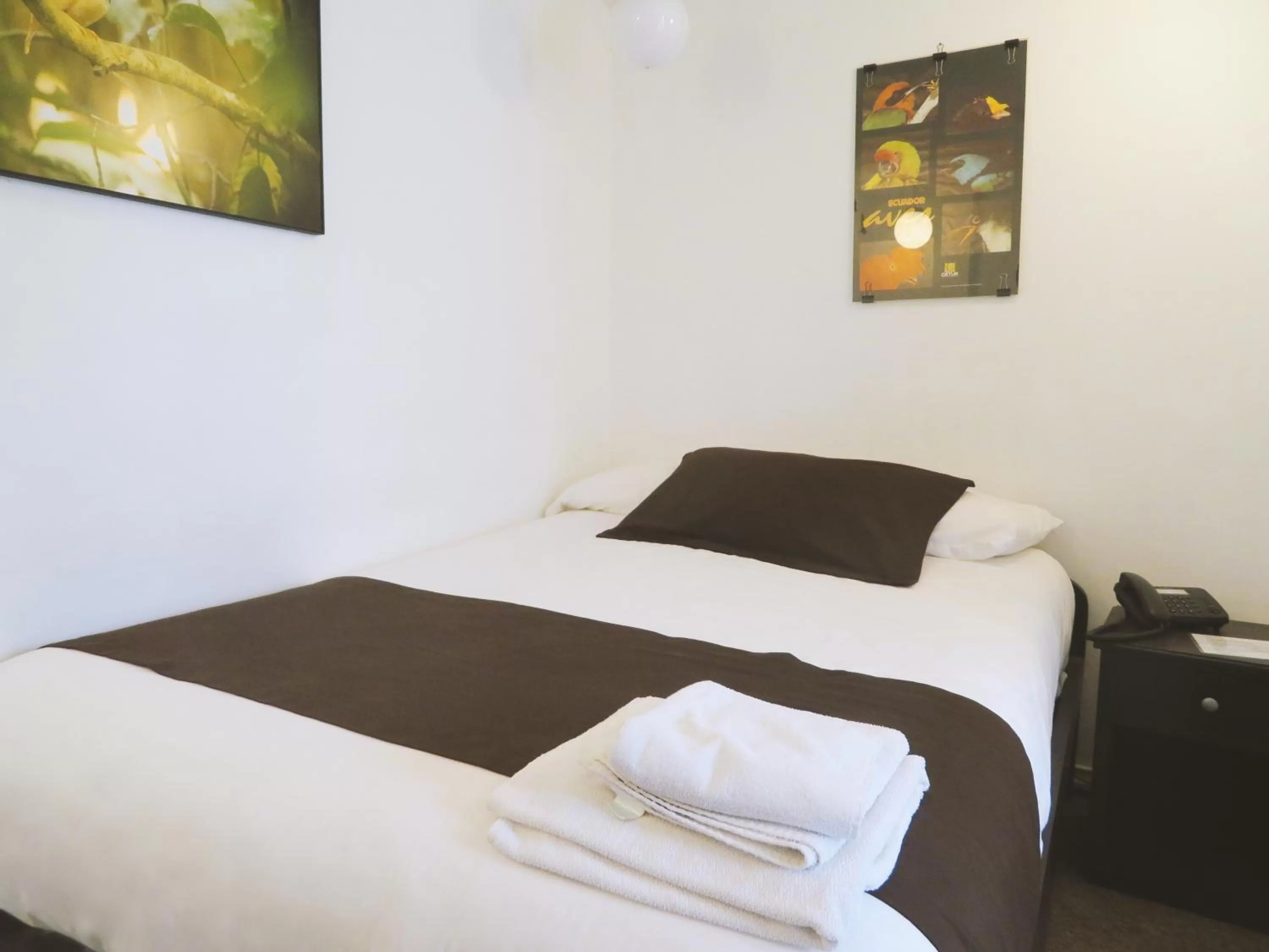 Single Room in Bird Garden Guest House