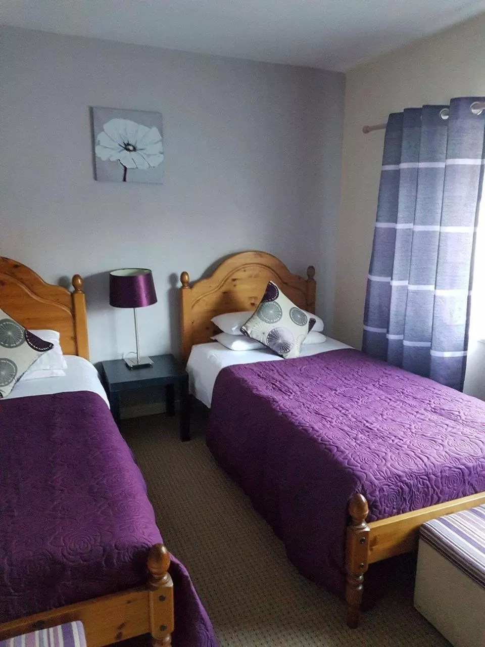Budget Twin Room - single occupancy in The Lamb and Flag Inn