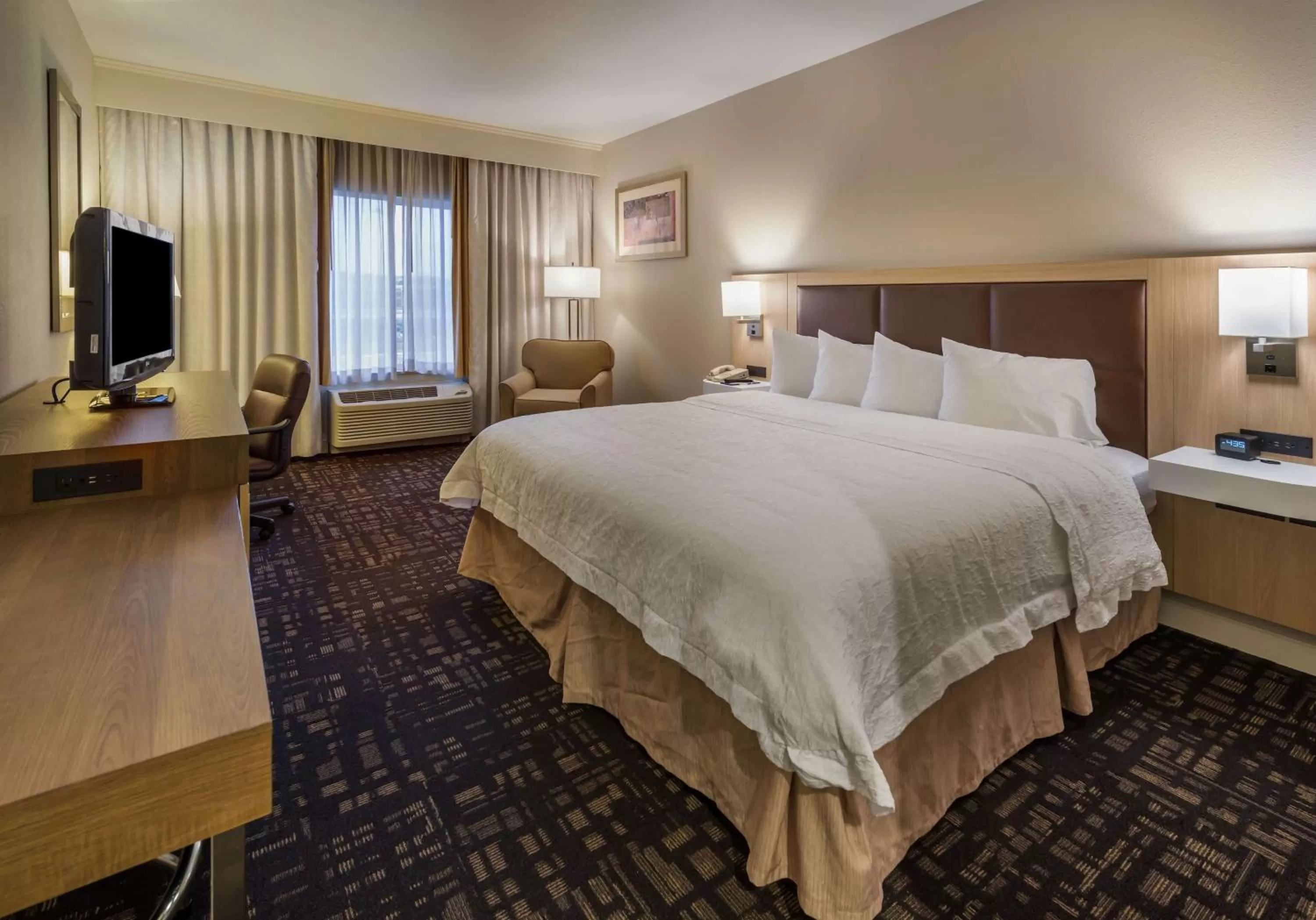 Deluxe King Room - Non-Smoking in Hampton Inn & Suites Reno