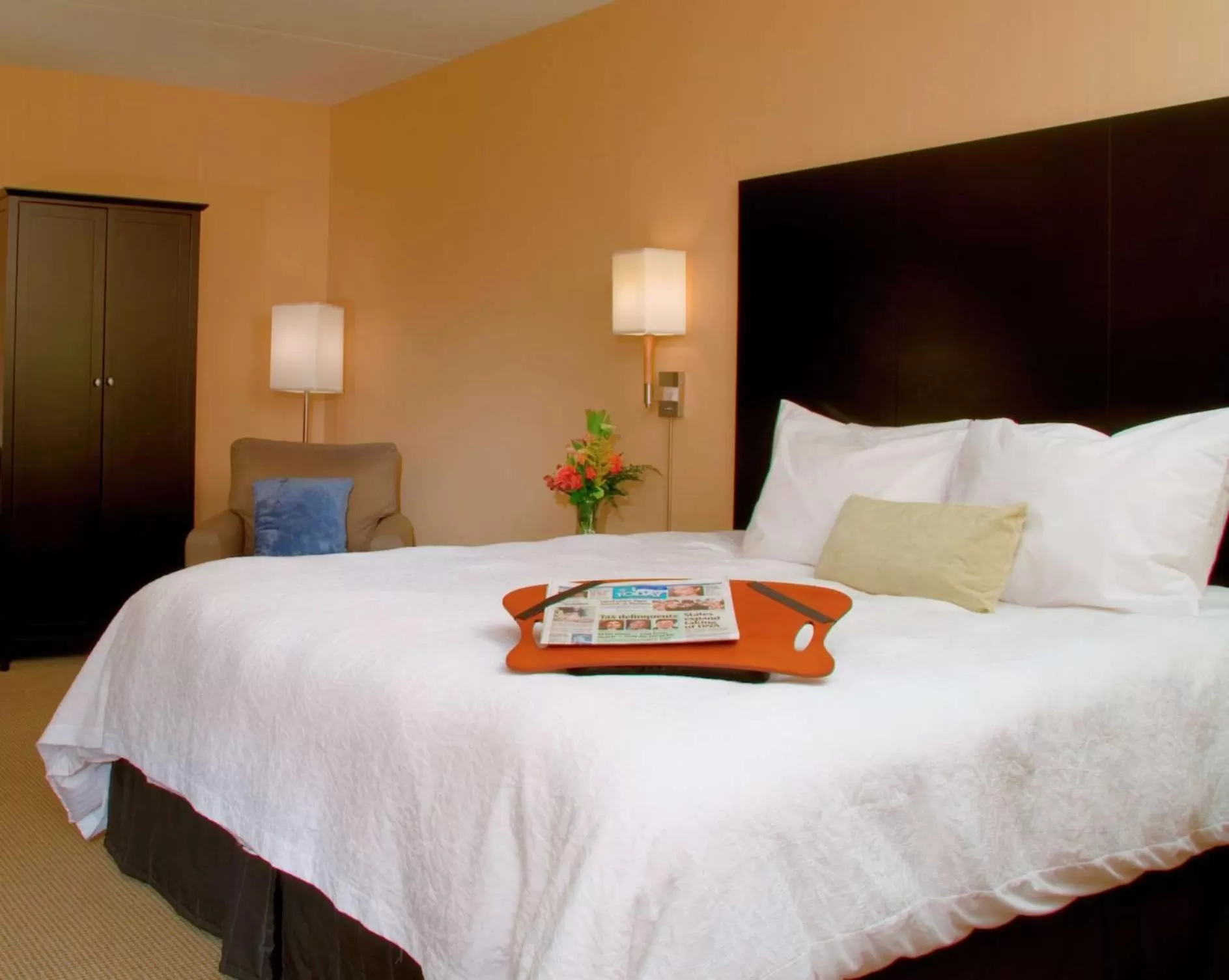 Queen Room - Disability Access with Bath Tub in Hampton Inn Bloomington