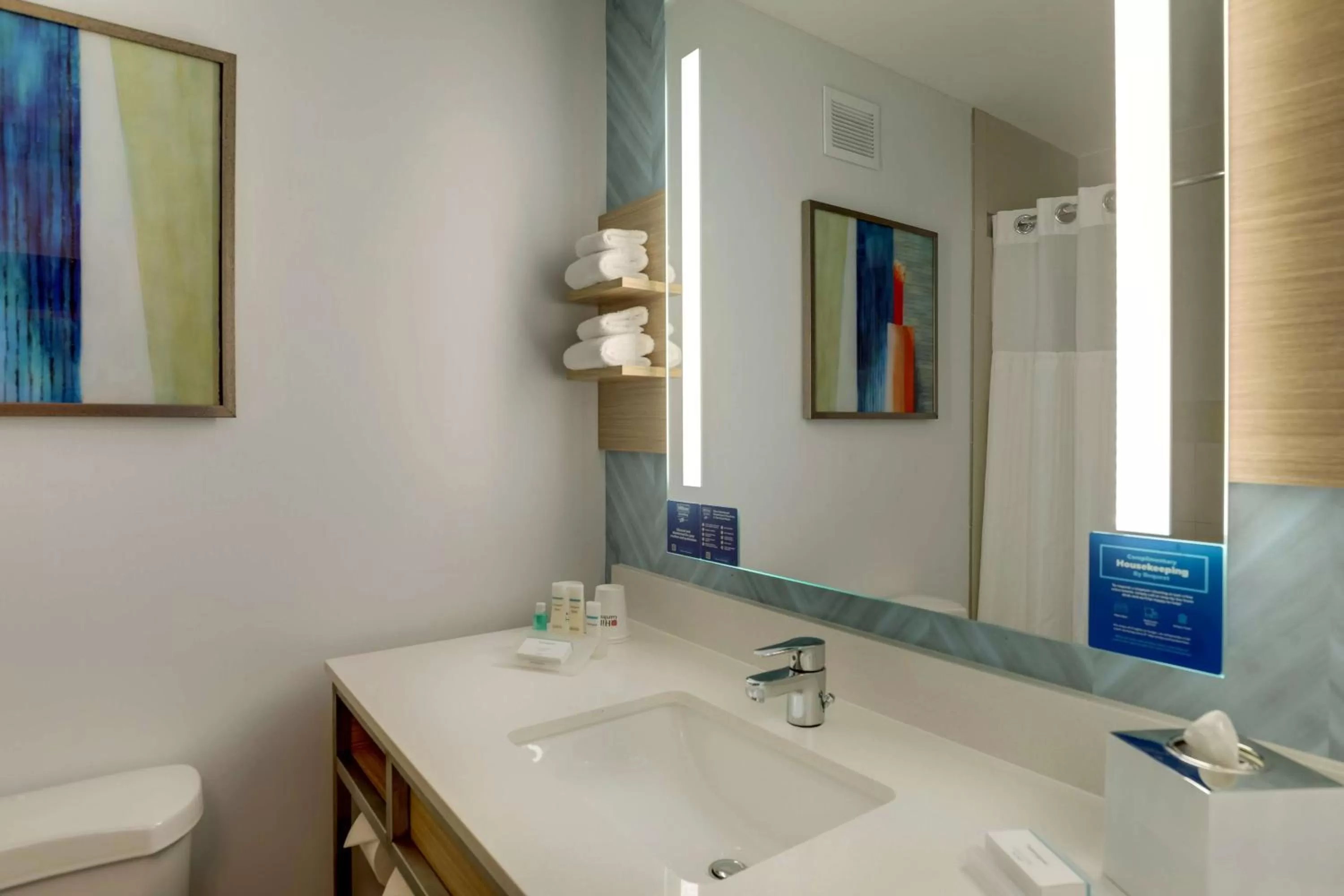 Junior King Suite with Sofa Bed in Hilton Garden Inn Fort Worth/Fossil Creek