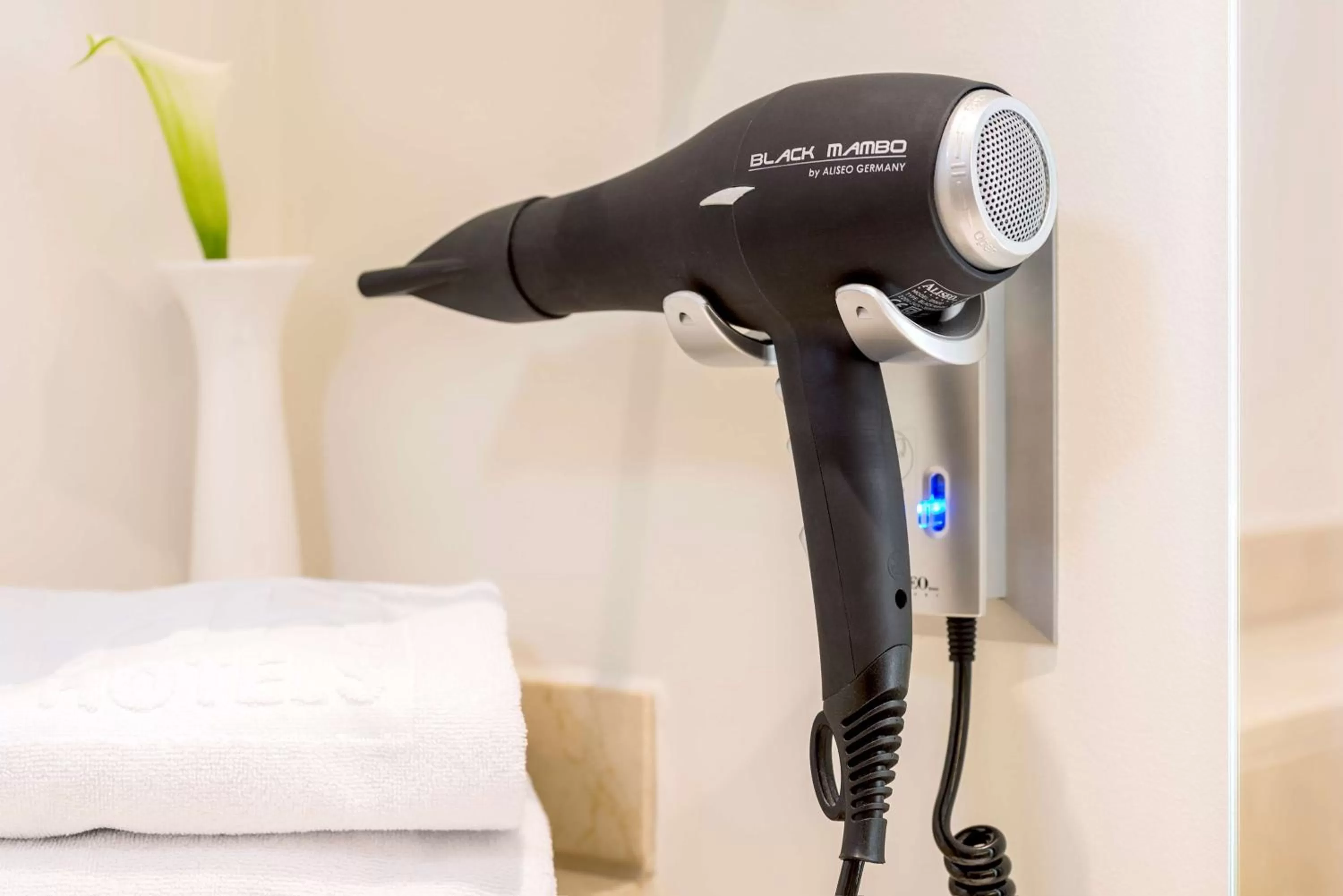 Standard Double or Twin Room in Geneva by Fassbind