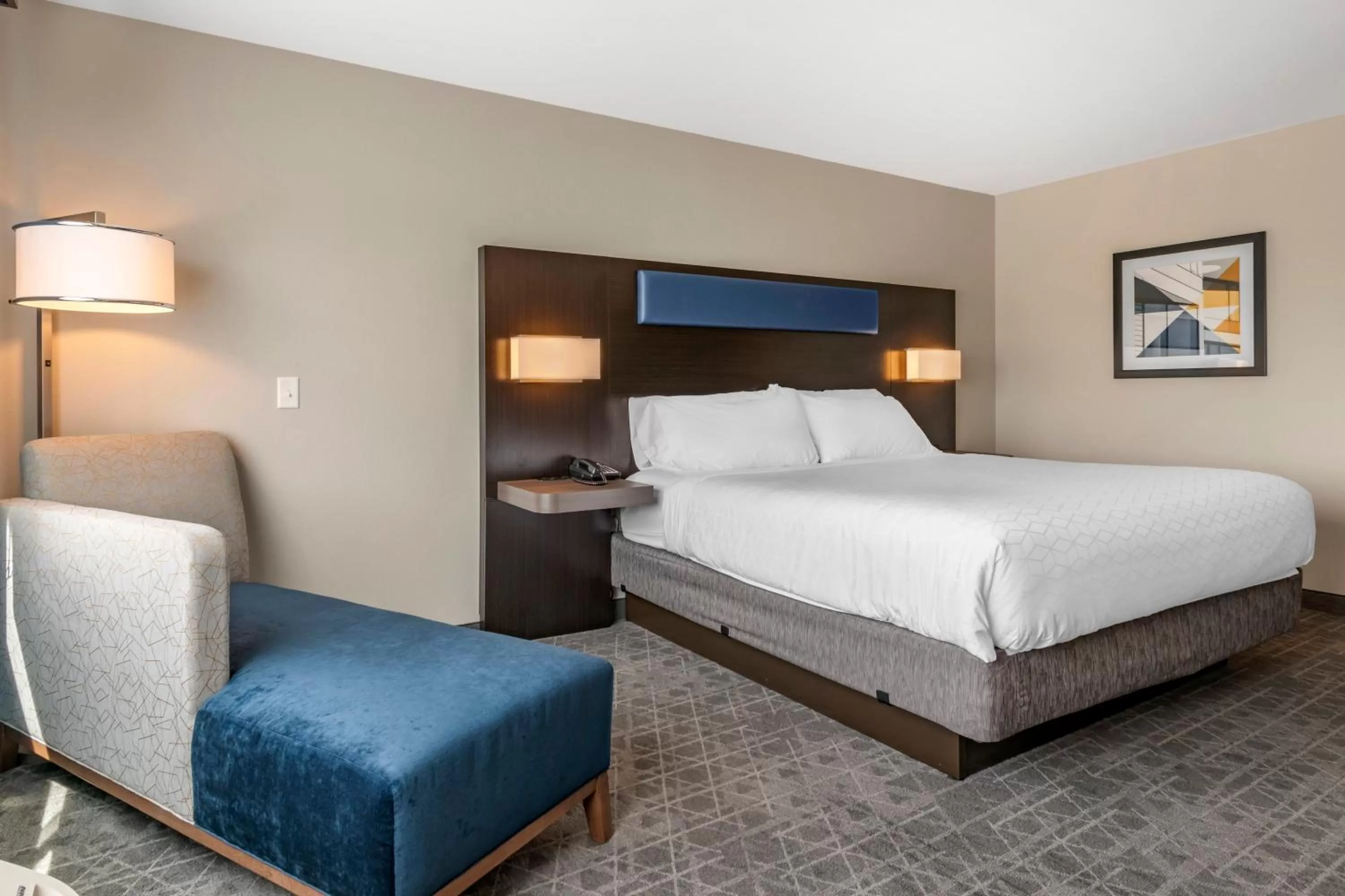 Standard King Room in Holiday Inn Express & Suites - Lancaster - Mount Joy by IHG