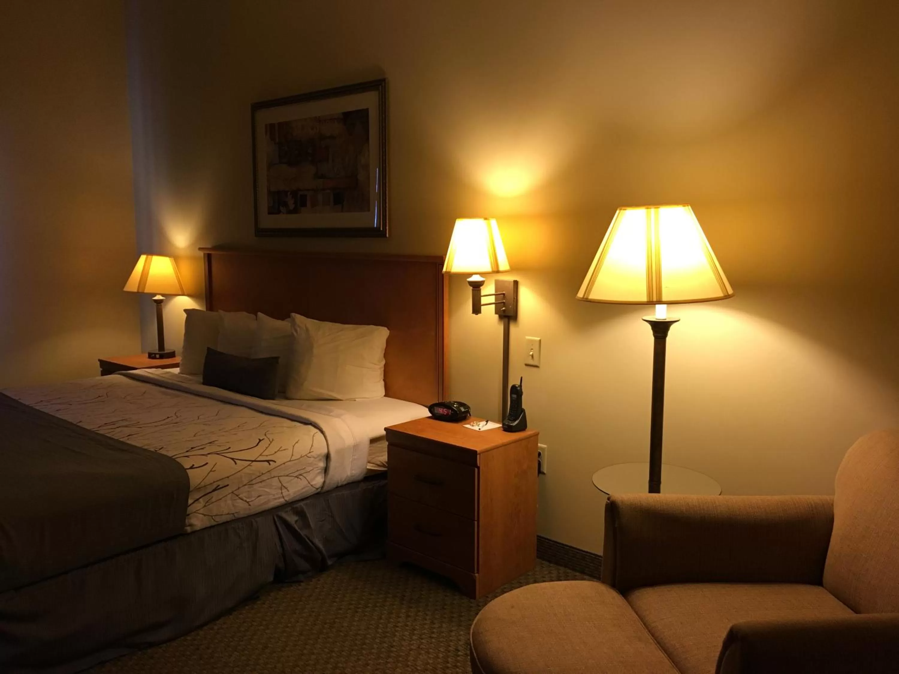 Deluxe King Room - Mobility and Hearing Impaired Access/Non-Smoking in Wingate by Wyndham Coon Rapids