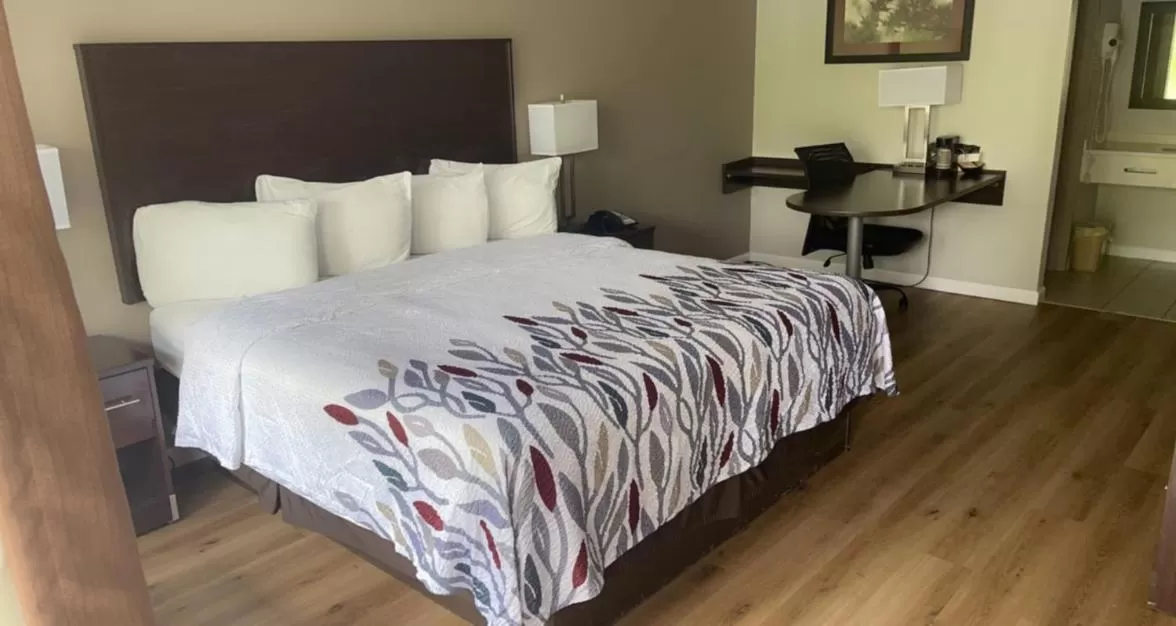 Superior King Room - Non Smoking in Red Roof Inn Clearfield