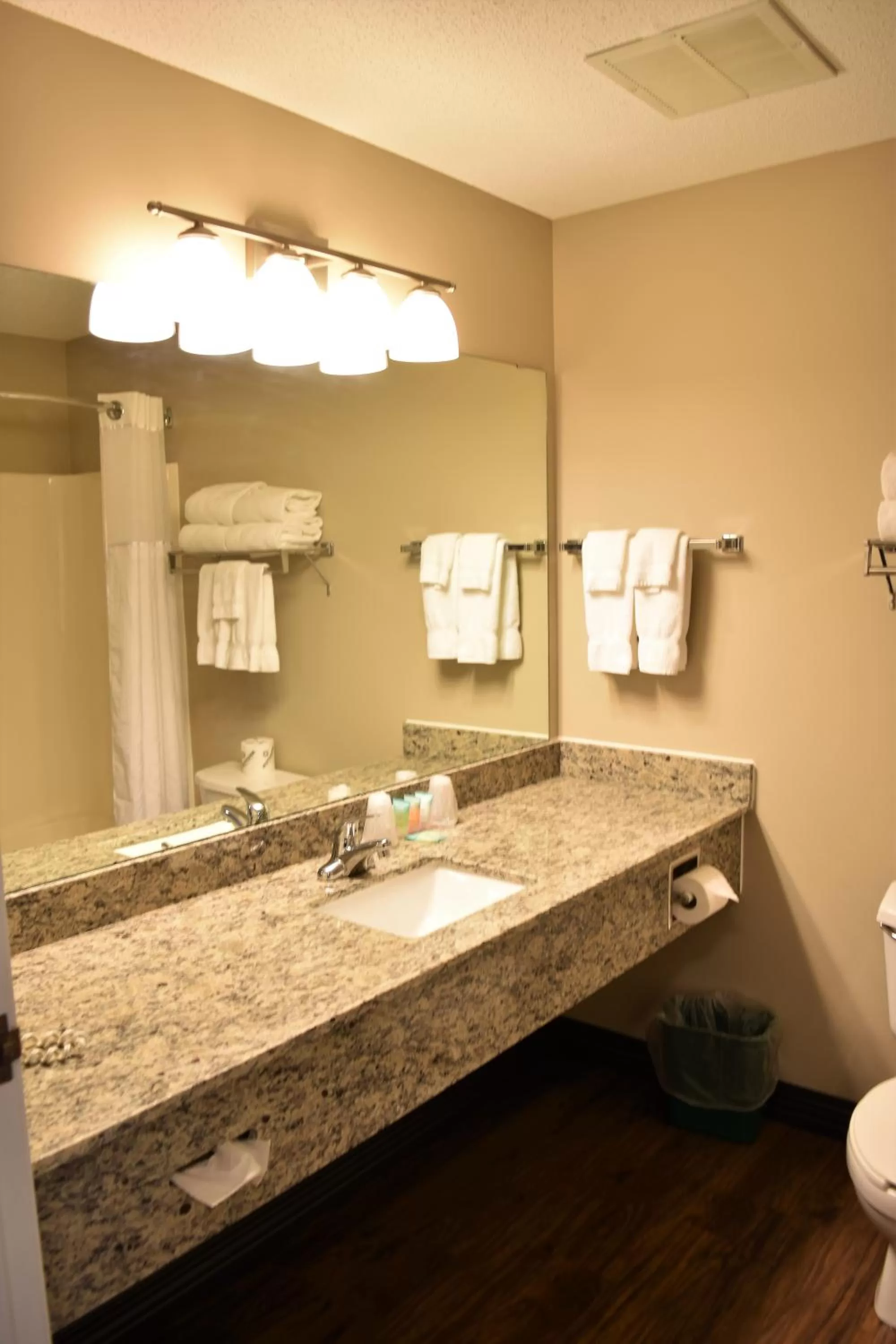 One-Bedroom Suite in Country Inn River Falls