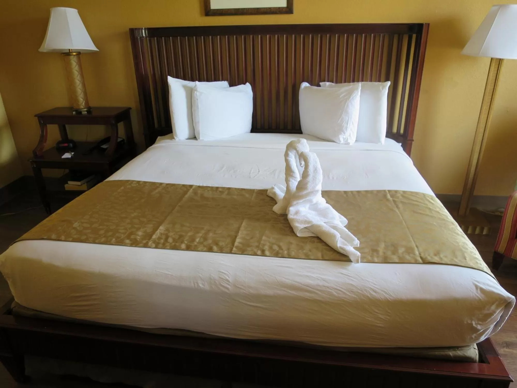 King Room in Floridian Express International Drive