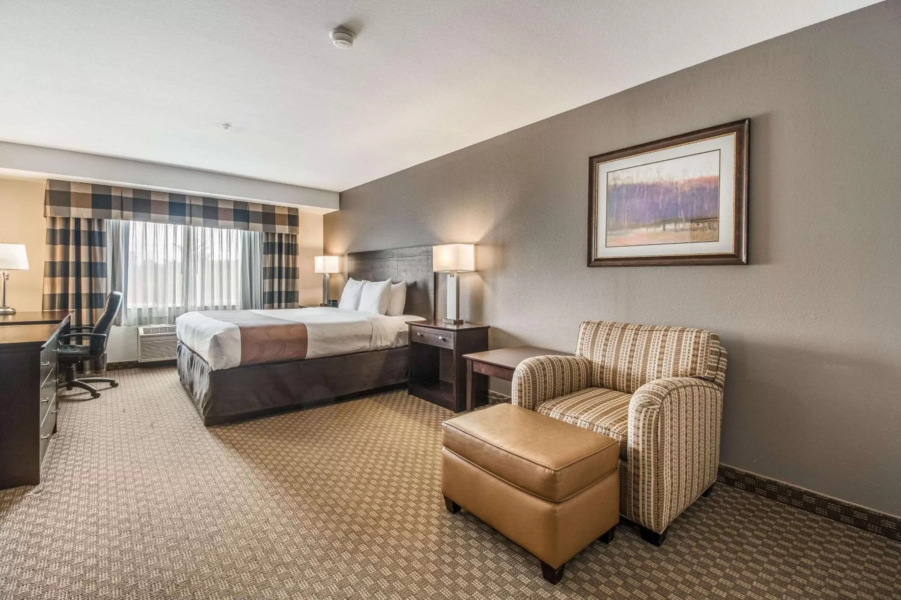 Standard King Room - Non-Smoking  in Quality Inn