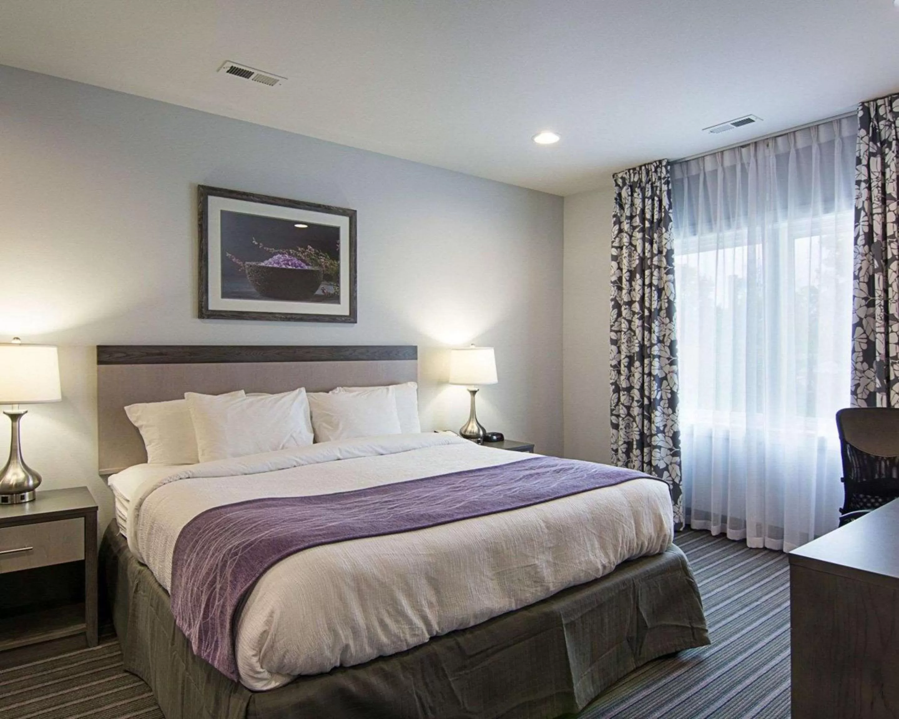 King Room First Floor - Accessible/Non-Smoking in Comfort Inn Williamsburg Gateway