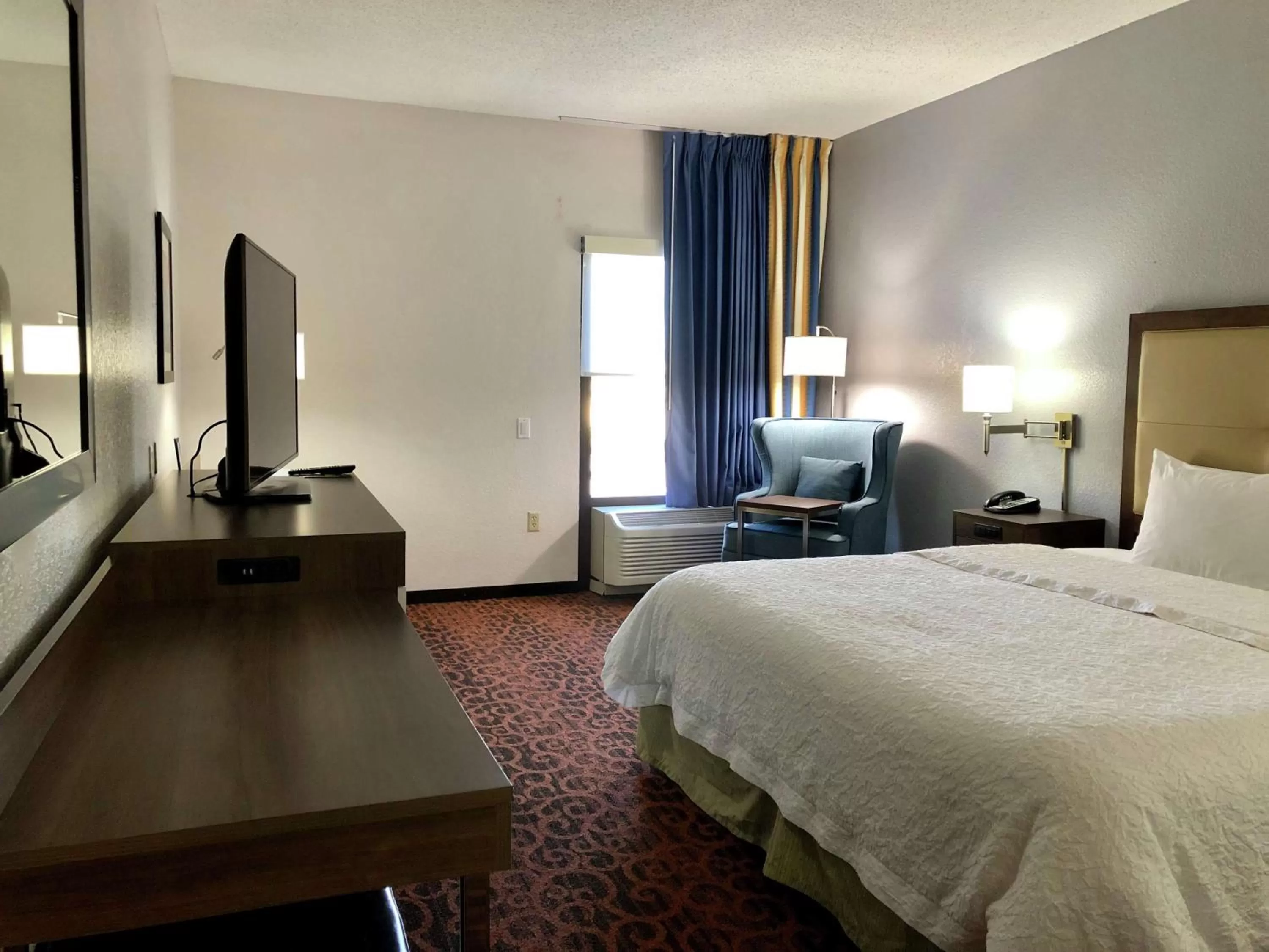 King Room with Bath Tub - Disability Access/Non-Smoking  in Hampton Inn by Hilton Spring Hill