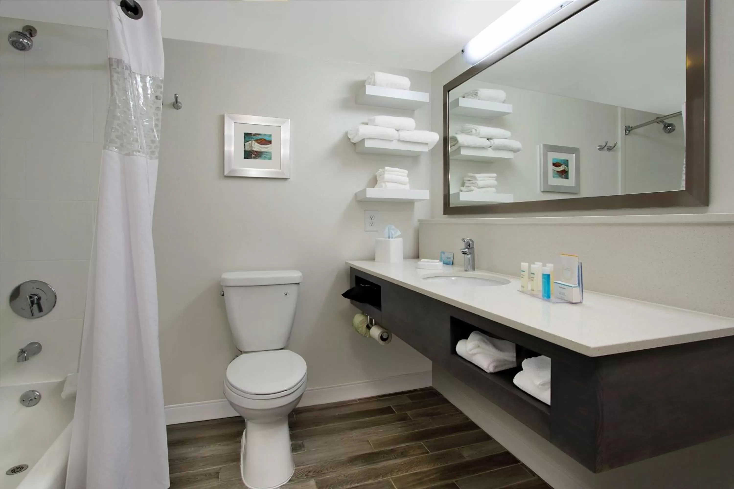 King Room in Hampton Inn Madison