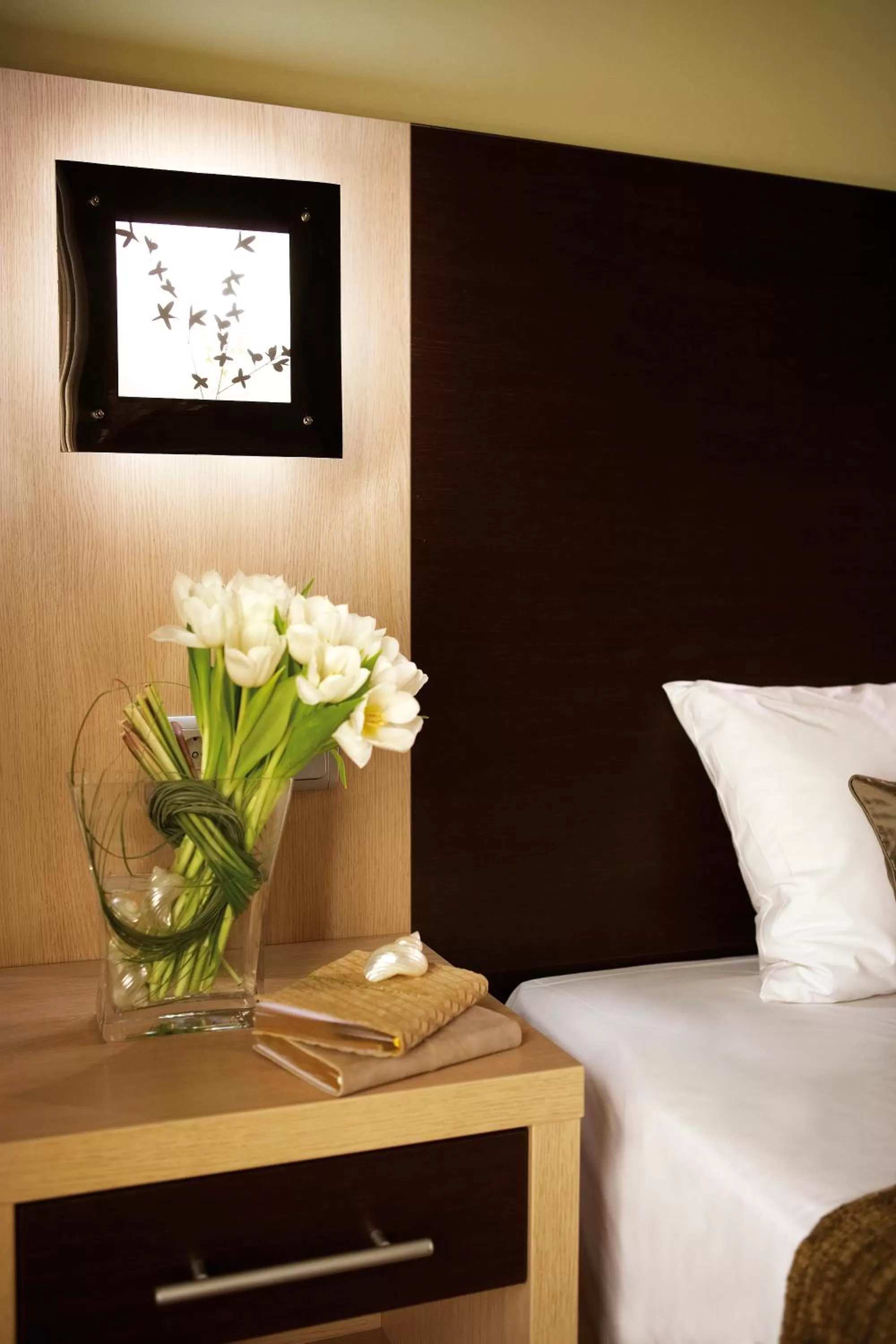 Interior Single Room in Anessis