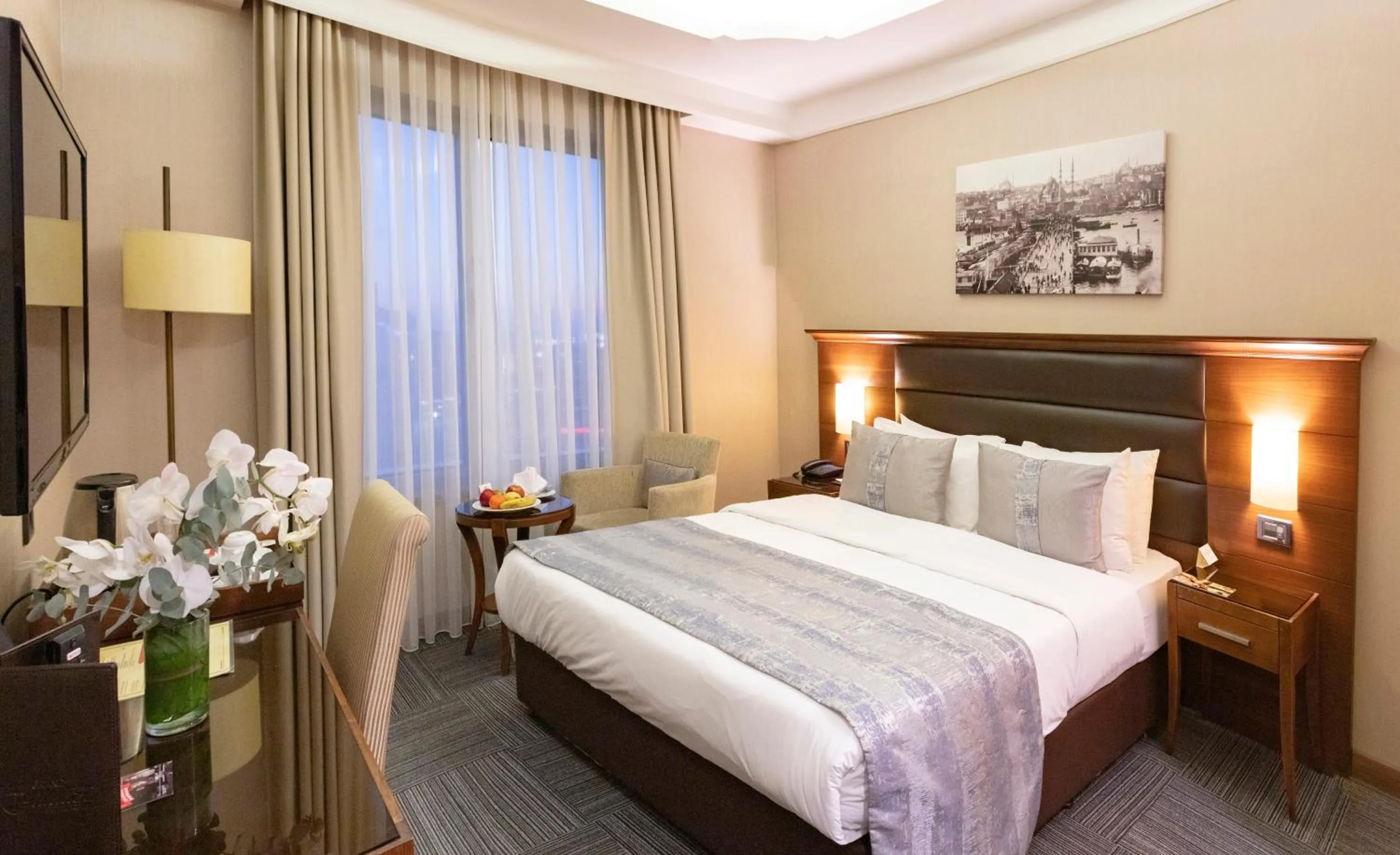 Double or Twin Room with City View in Grand Makel Hotel Topkapi