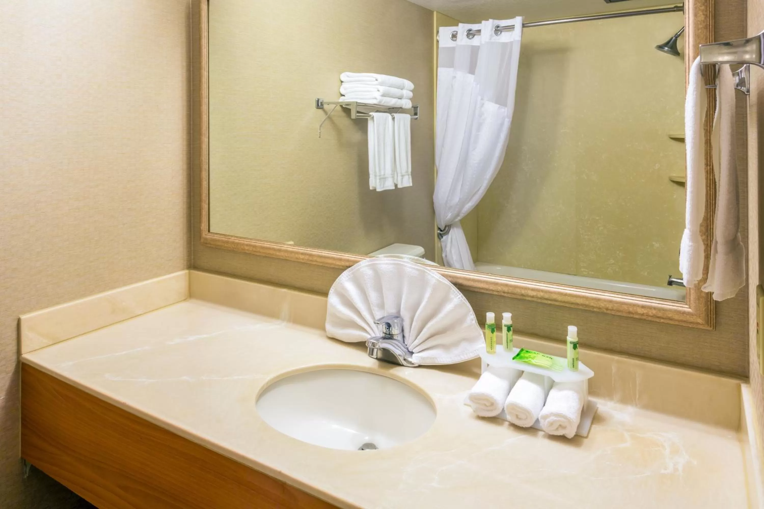 Standard King Room in Holiday Inn Express Roseburg by IHG