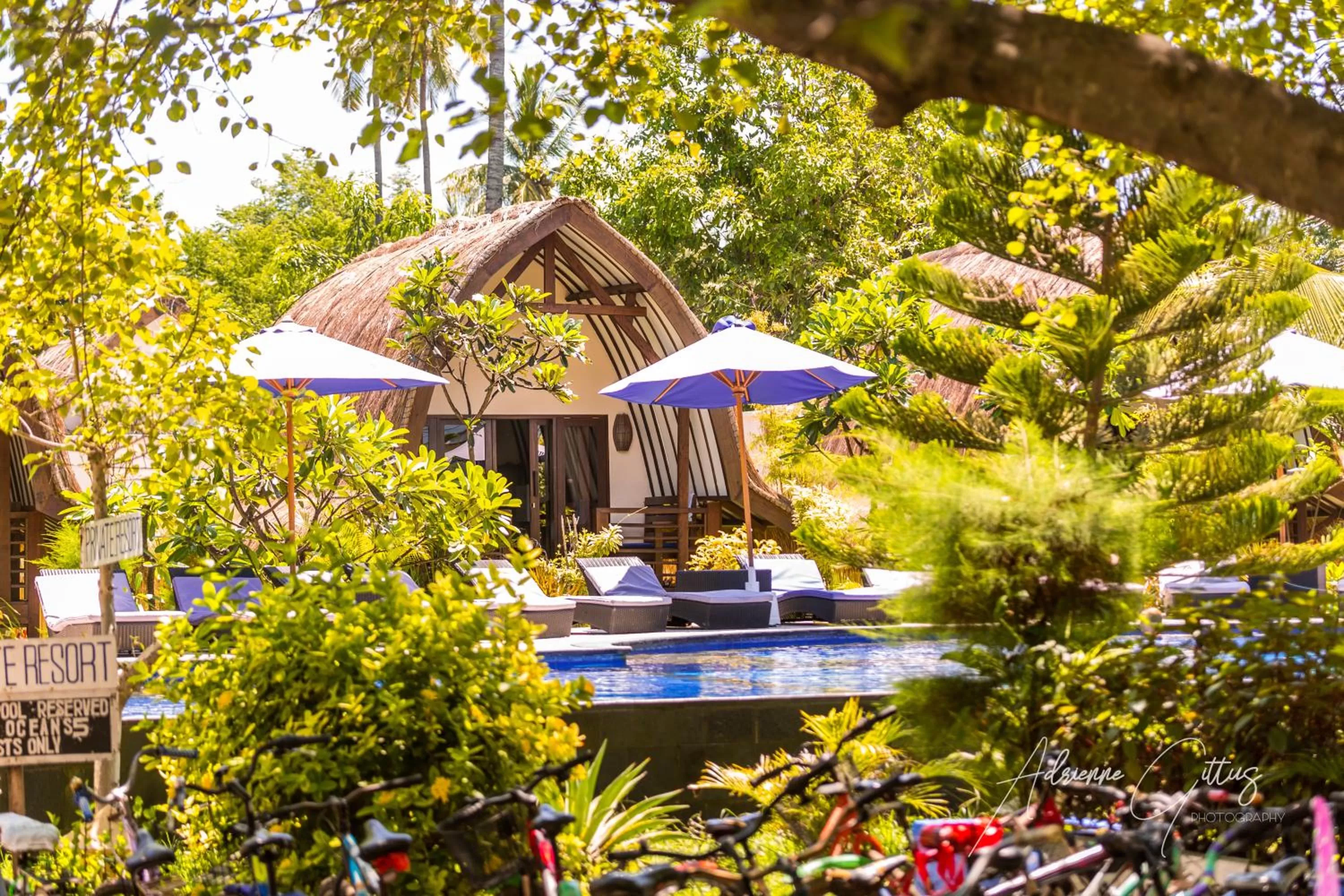 Double Room with Balcony in Oceans 5 Dive Resort