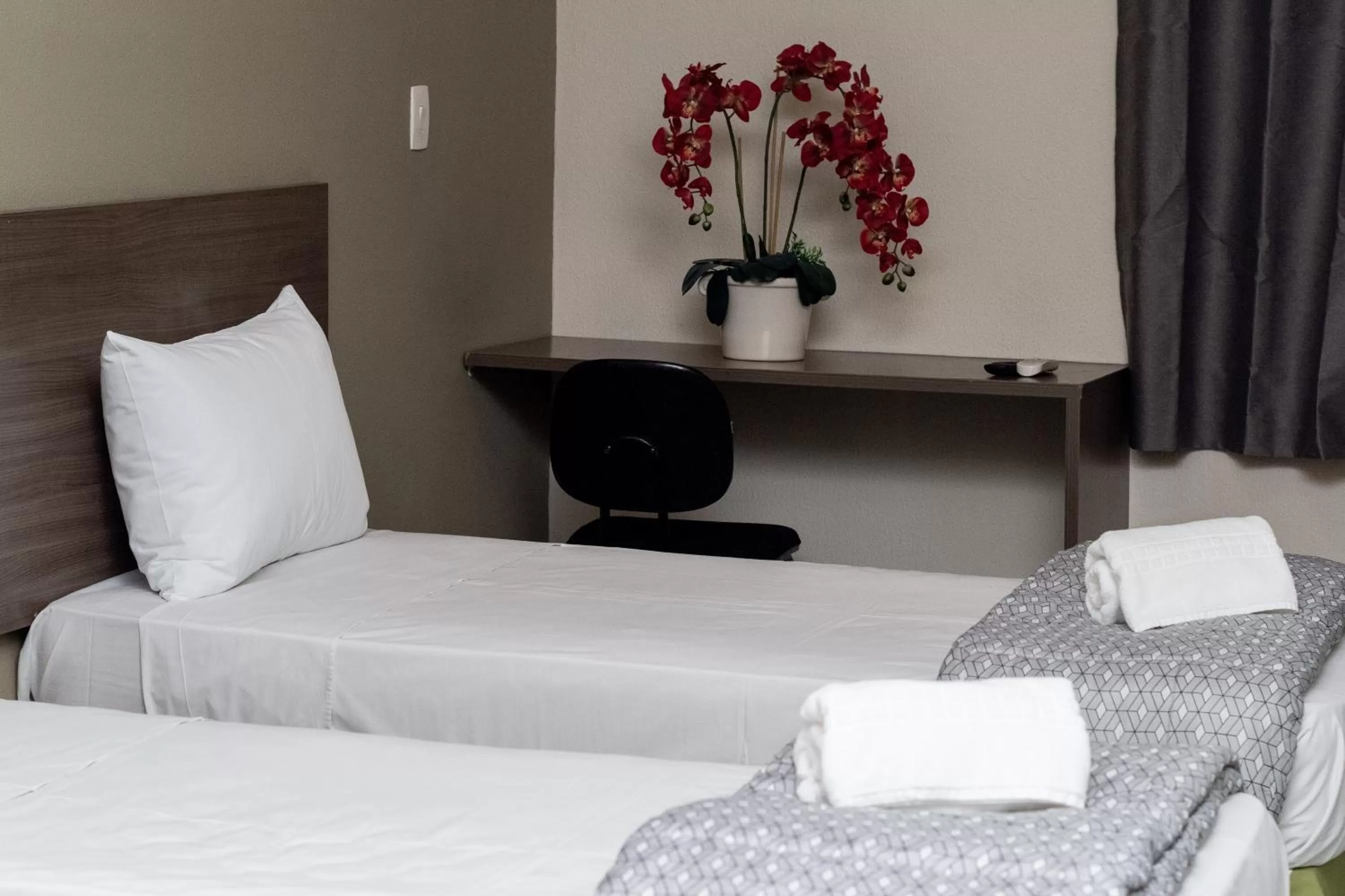 Twin Room - single occupancy in Astor Hotel