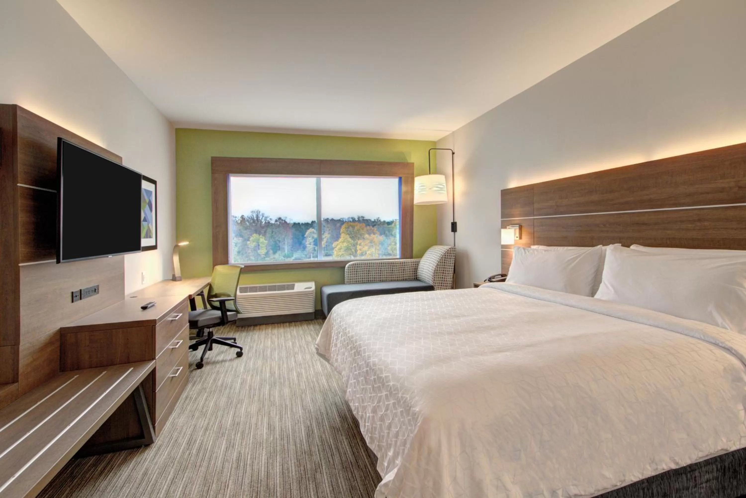 Standard King Room in Holiday Inn Express & Suites Charlotte Southwest by IHG