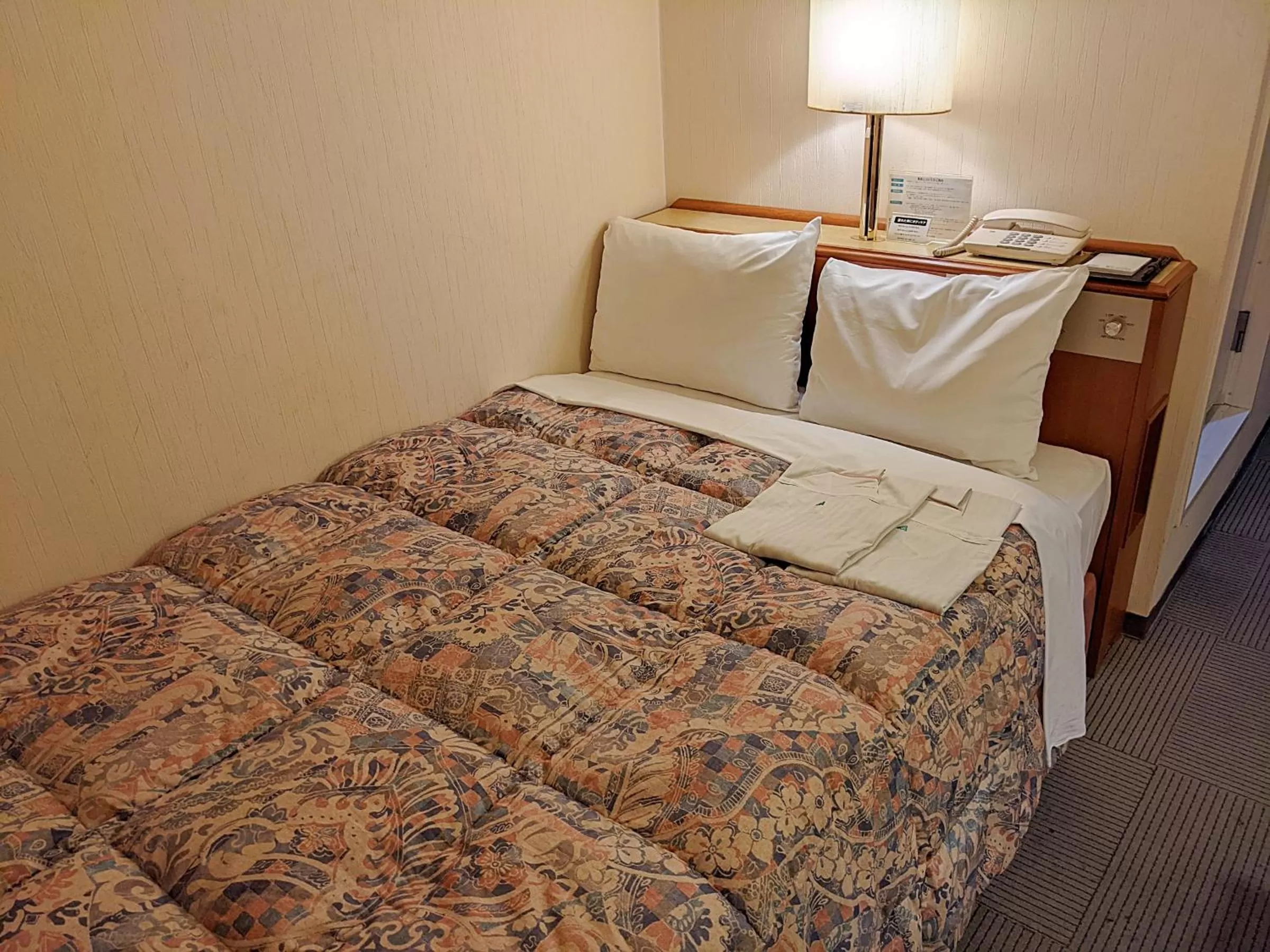 Economy Double Room in Ace Inn Kariya
