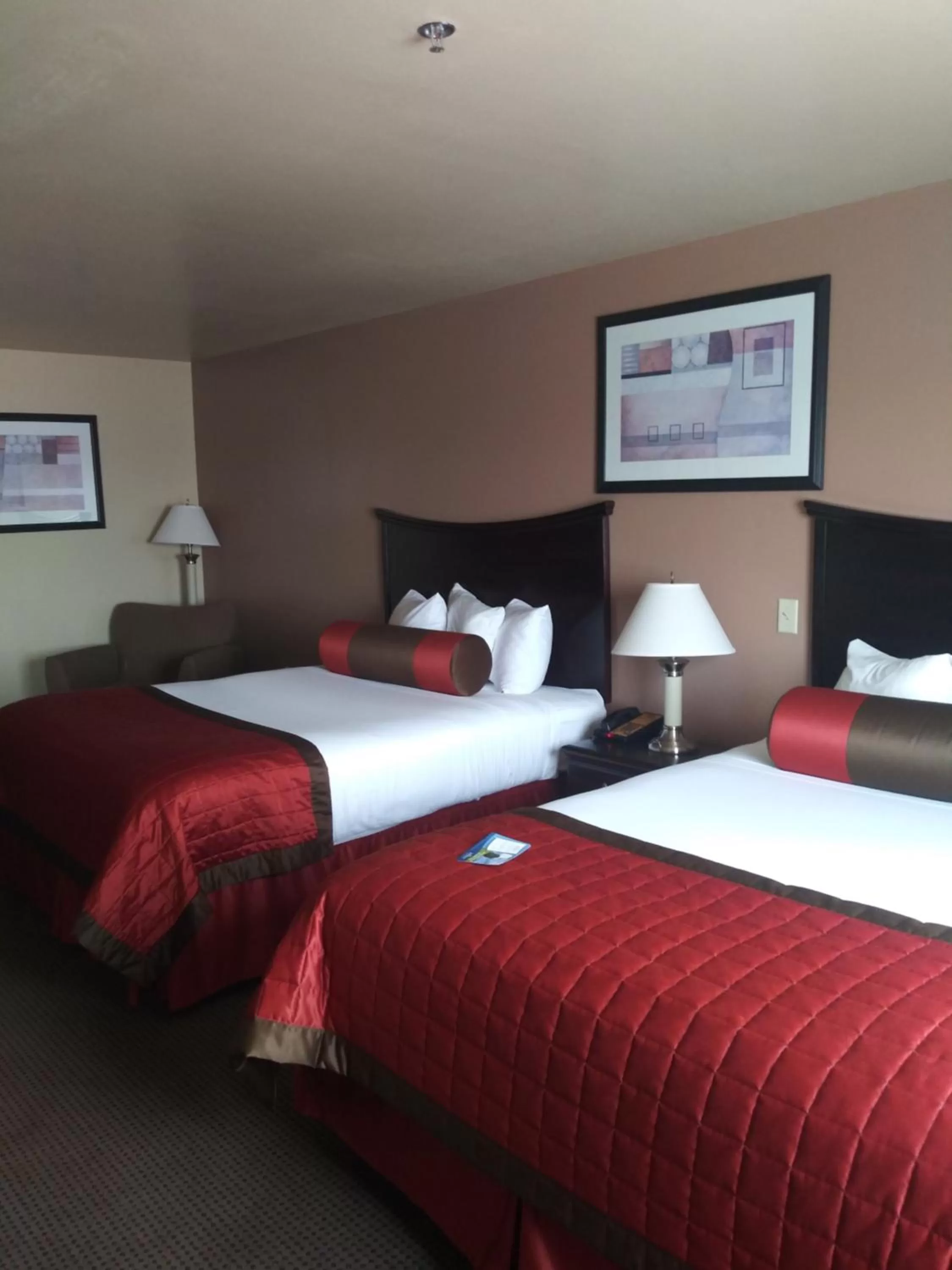 Executive Queen Room - Non-Smoking in Baymont by Wyndham Wheeler