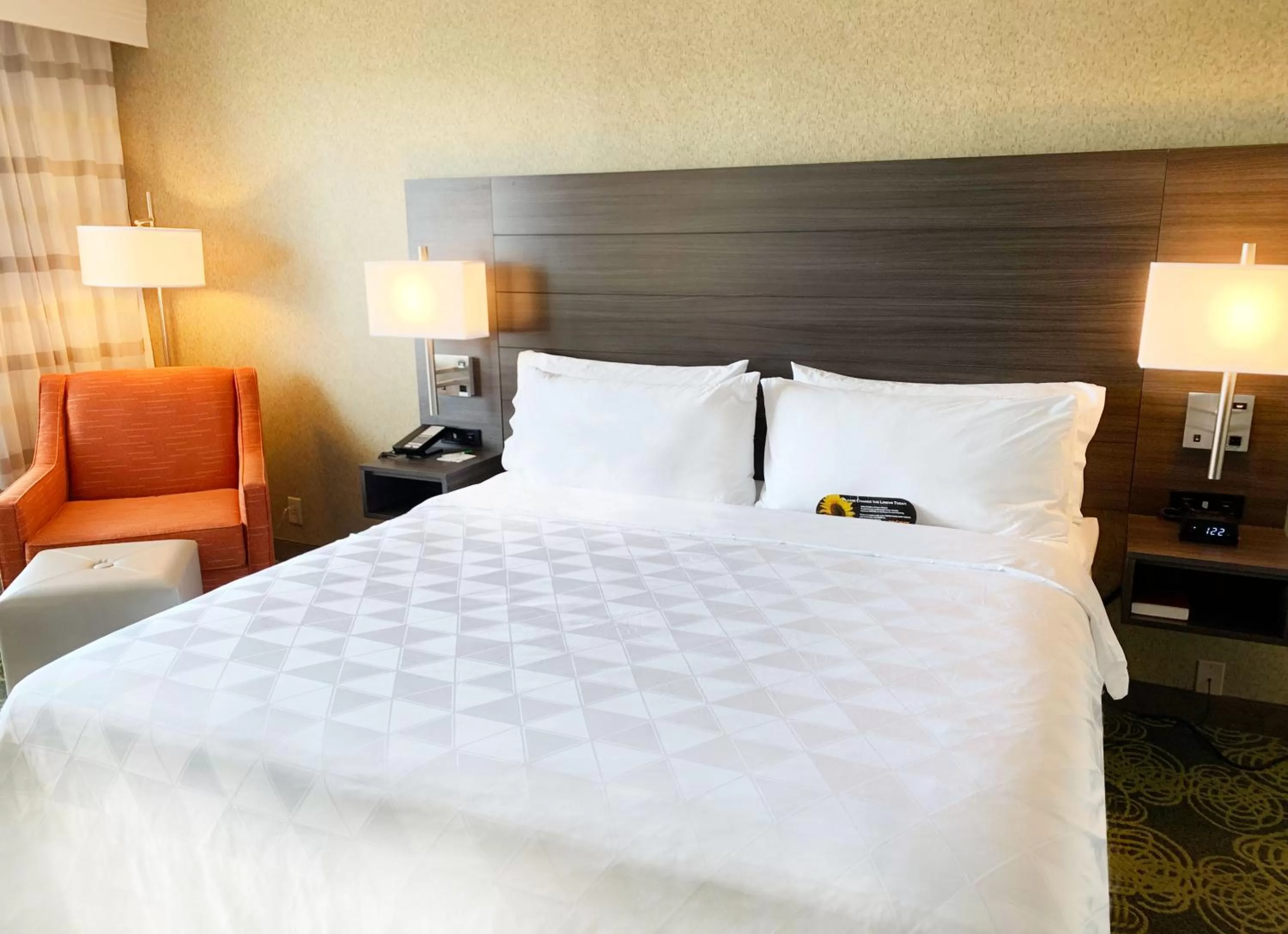 Holiday Inn University Area Charlottesville by IHG