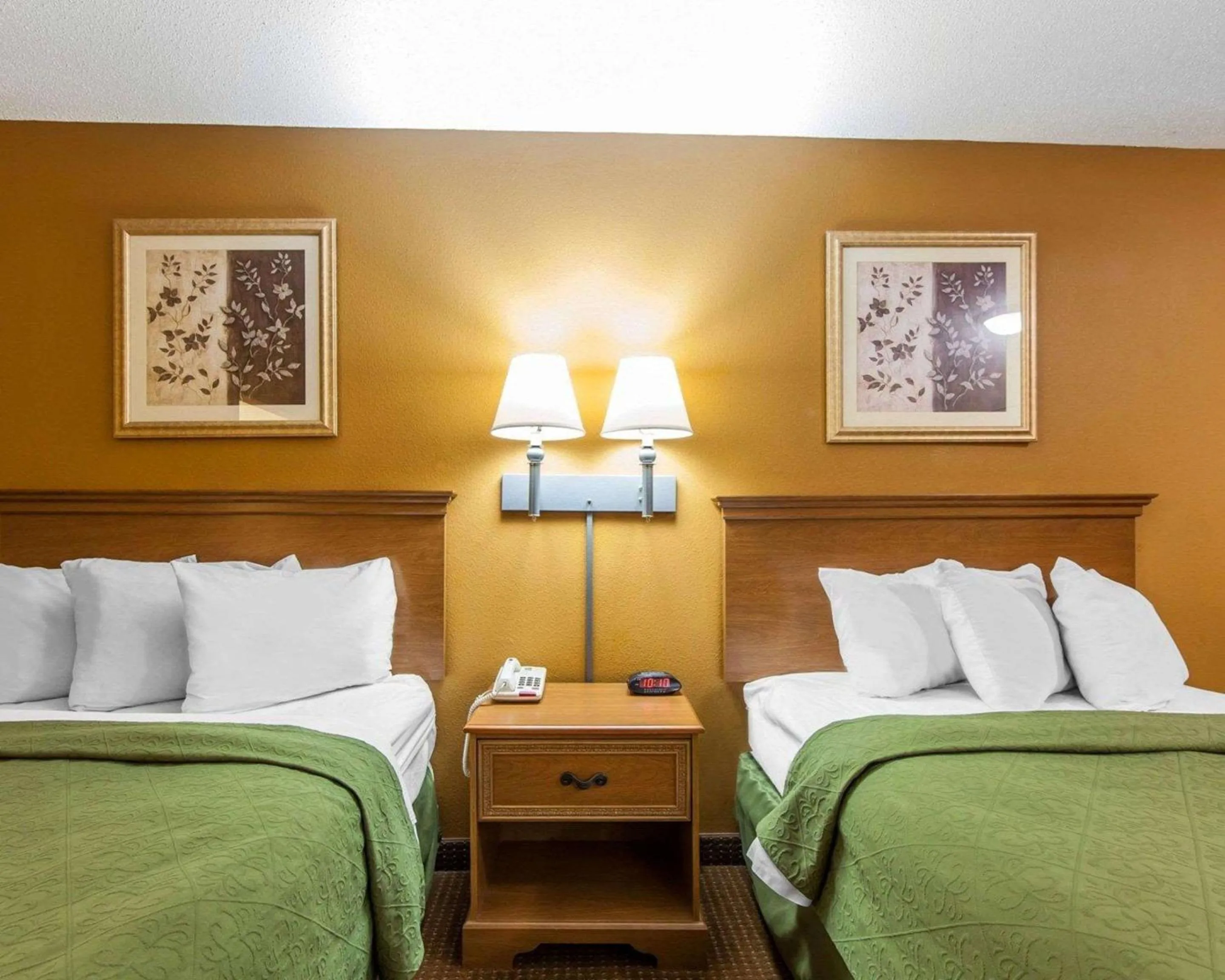 Photo of the whole room, Bed in Quality Inn & Suites Cartersville North