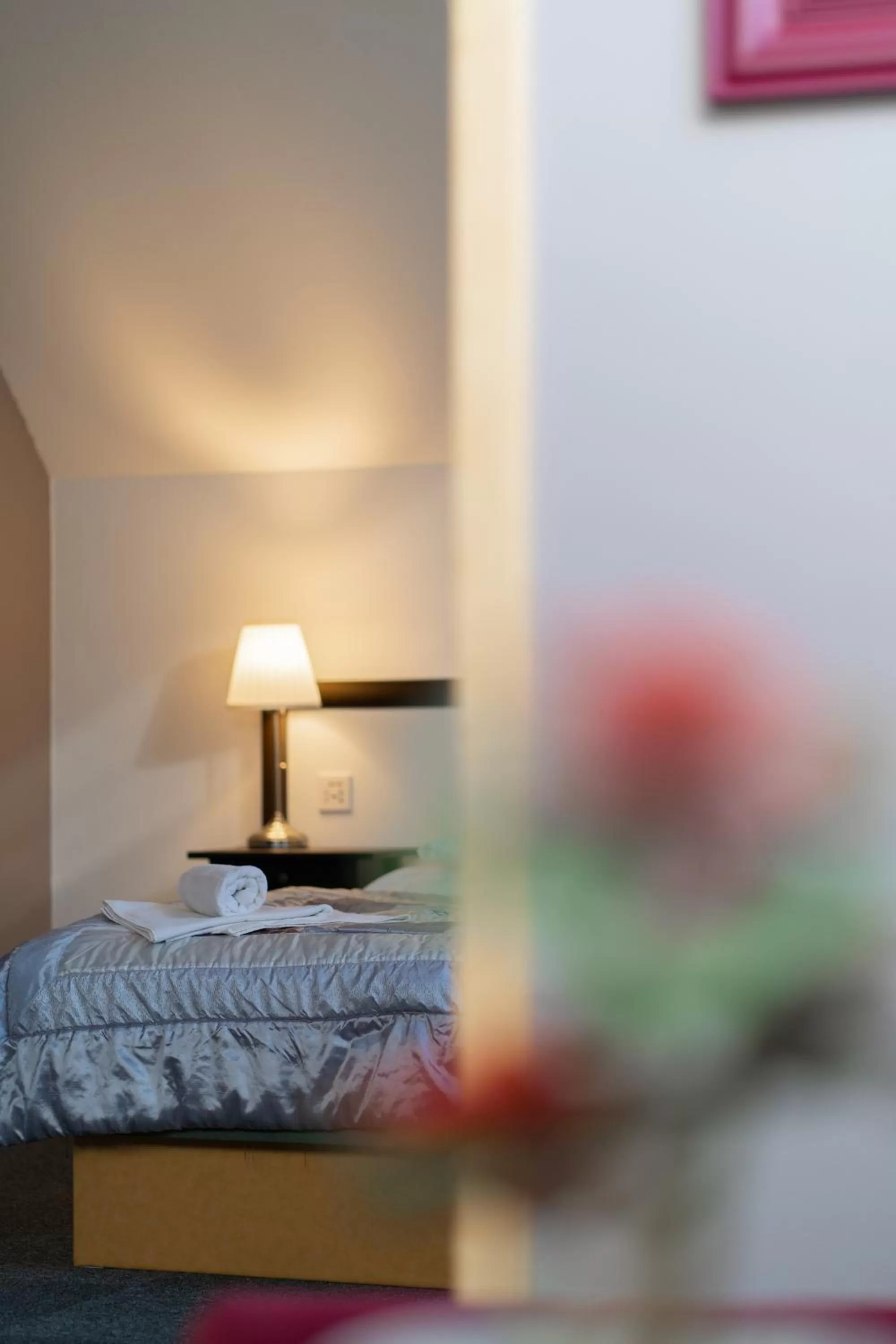 Deluxe Double Room in TeleDom Hotel