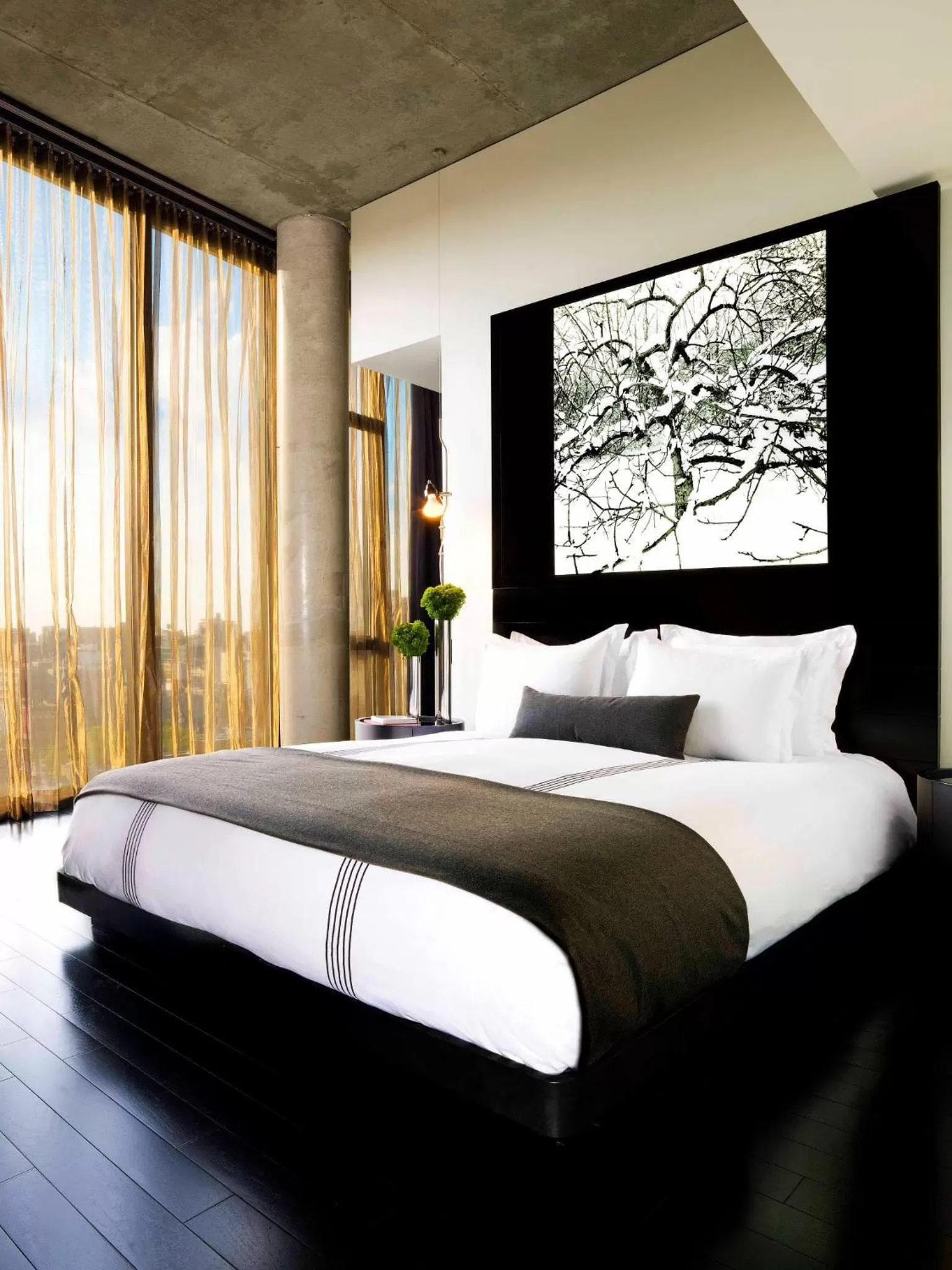 Queen Studio in Sixty LES