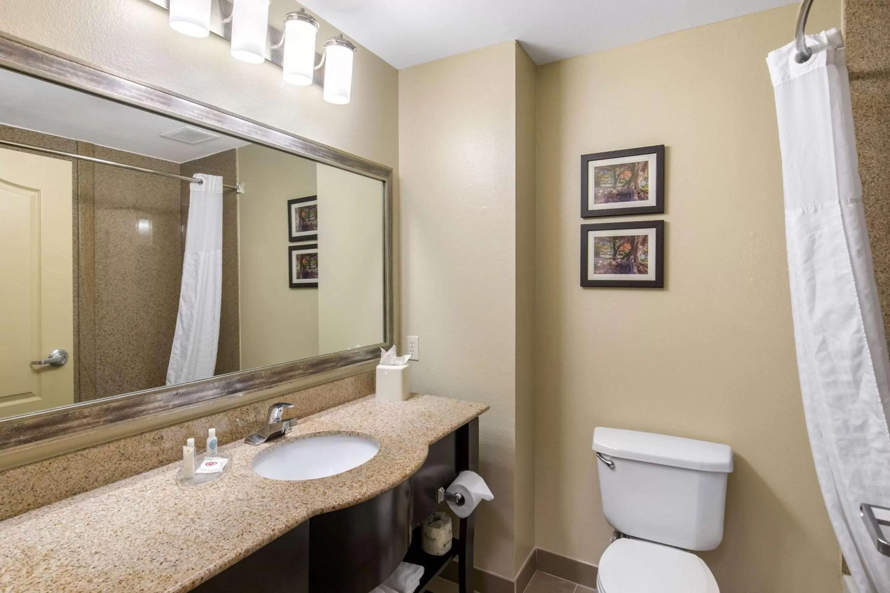 King Suite - Non-Smoking in Comfort Inn & Suites Cedar Hill Duncanville