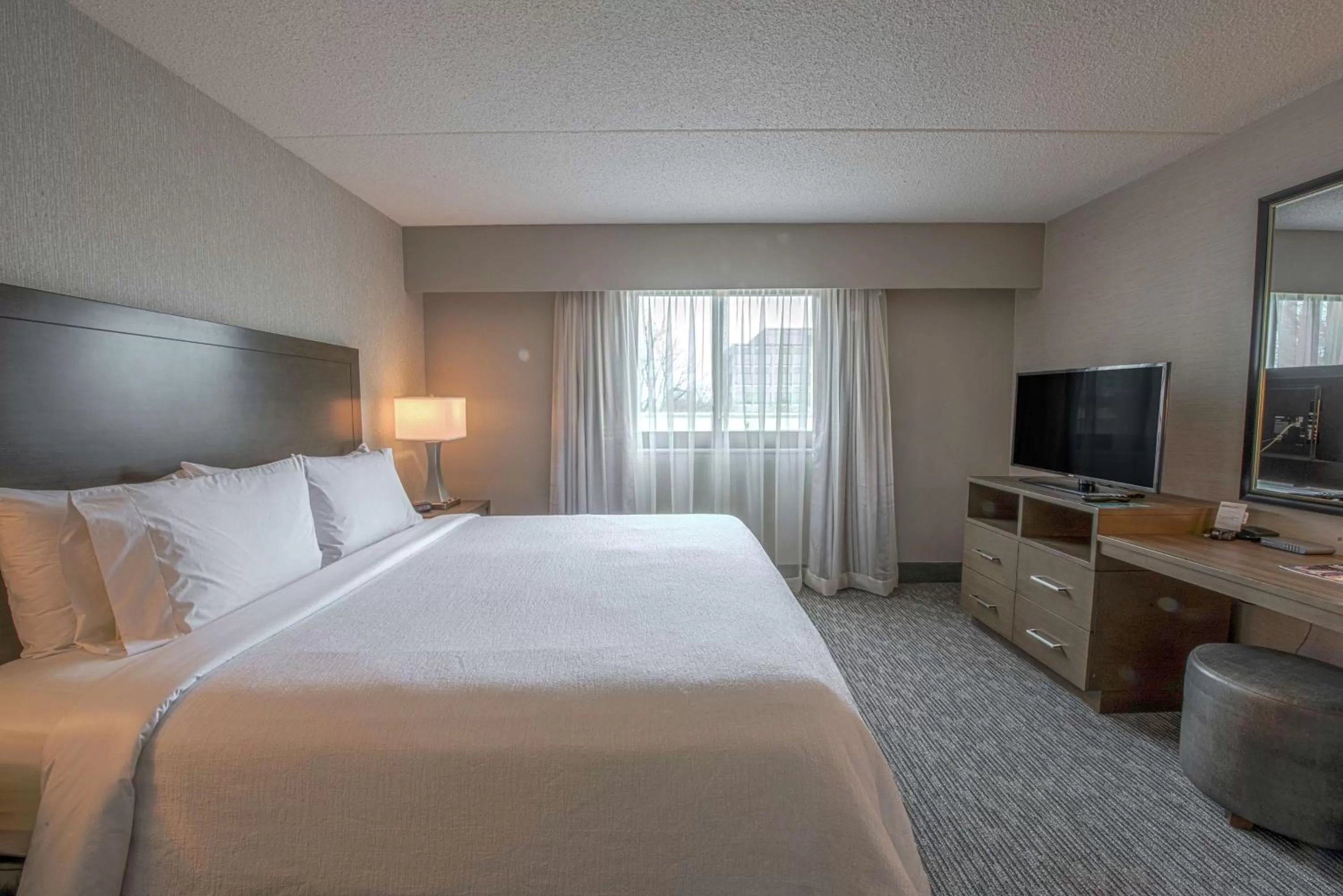 King Room - Mobility Access/Non-Smoking in Embassy Suites by Hilton Chicago Schaumburg Woodfield