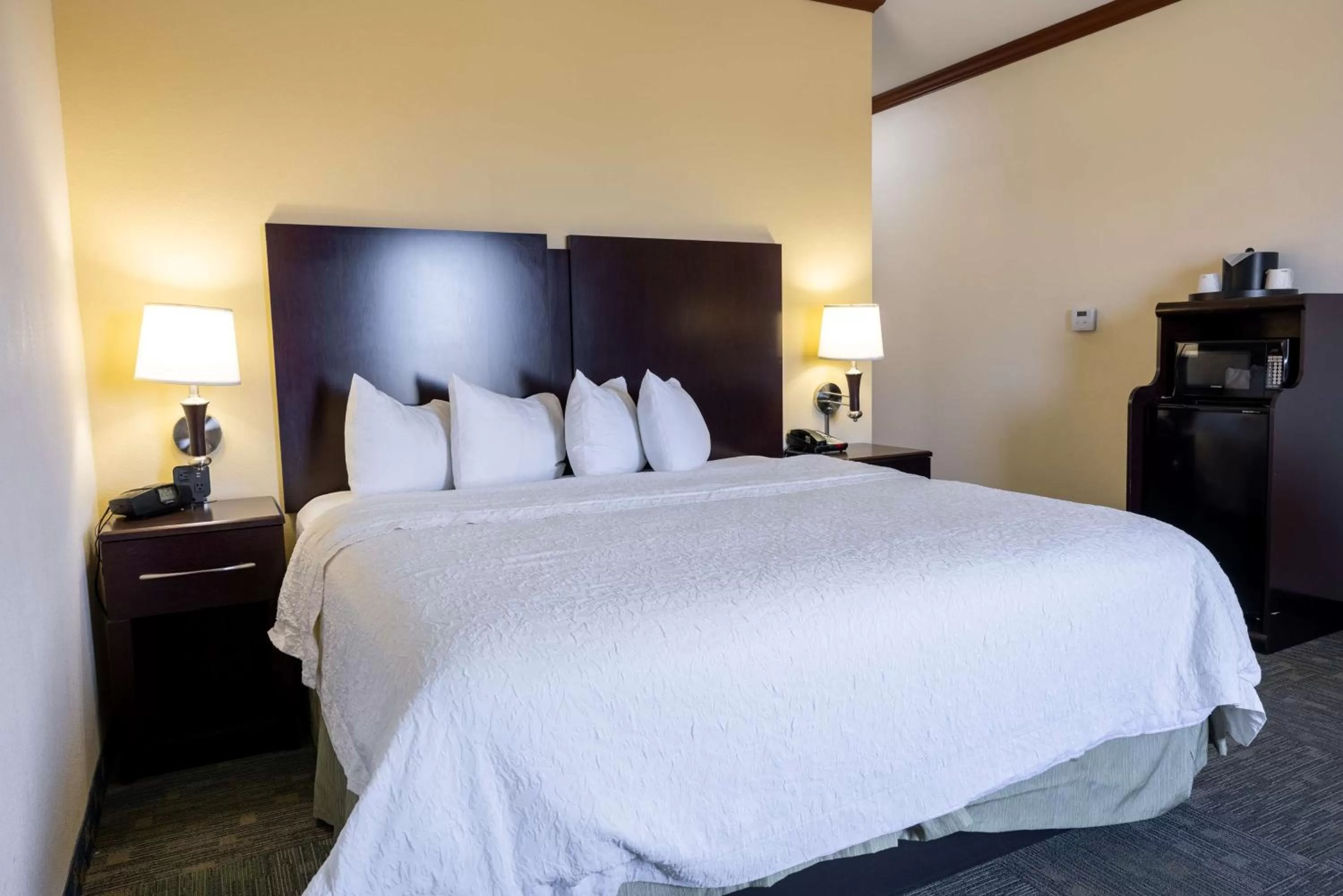 King Room with Sofa Bed - Non-Smoking in Hampton Inn Alice