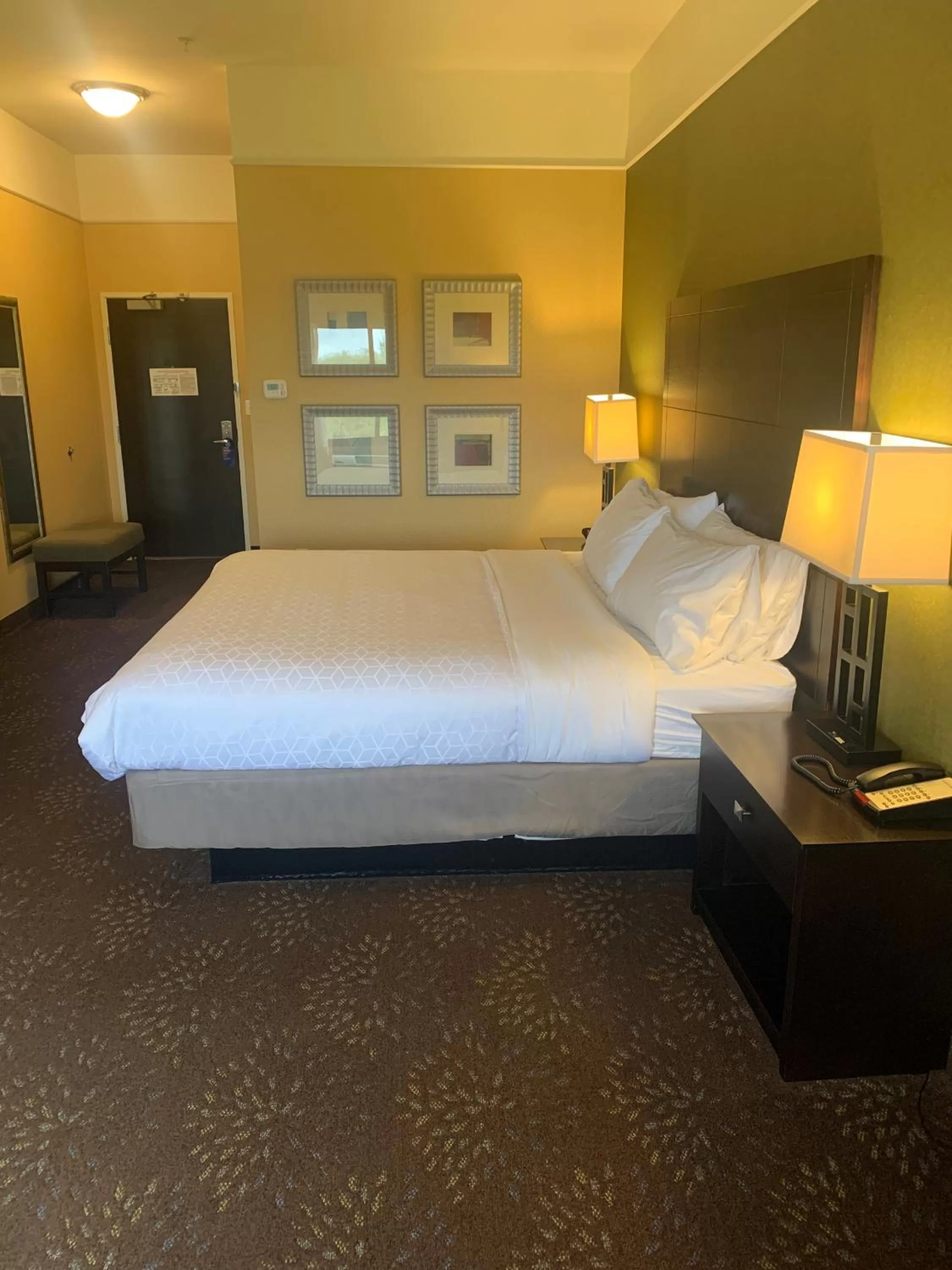 Holiday Inn Express Hotel & Suites Lansing-Dimondale by IHG