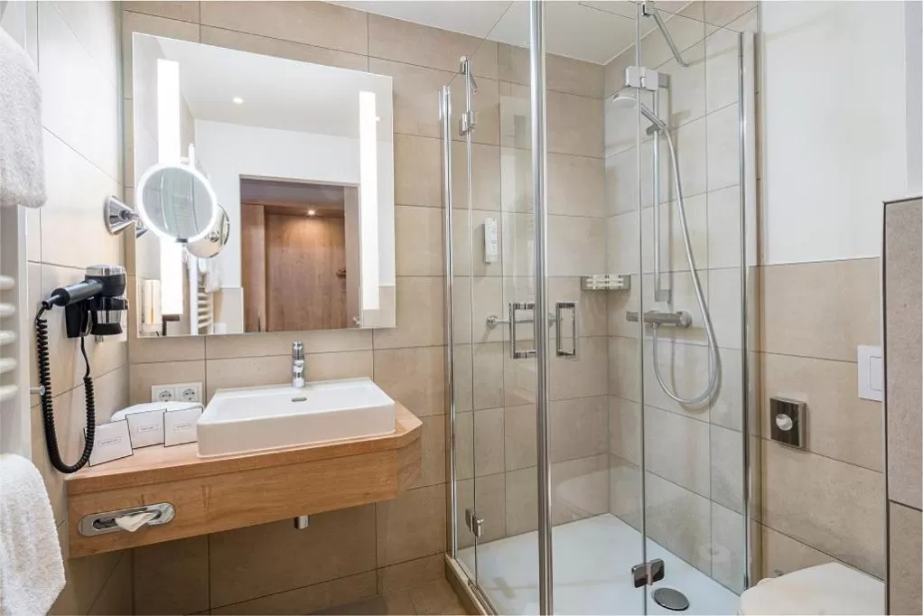 Business Single Room in Hotel Flandrischer Hof