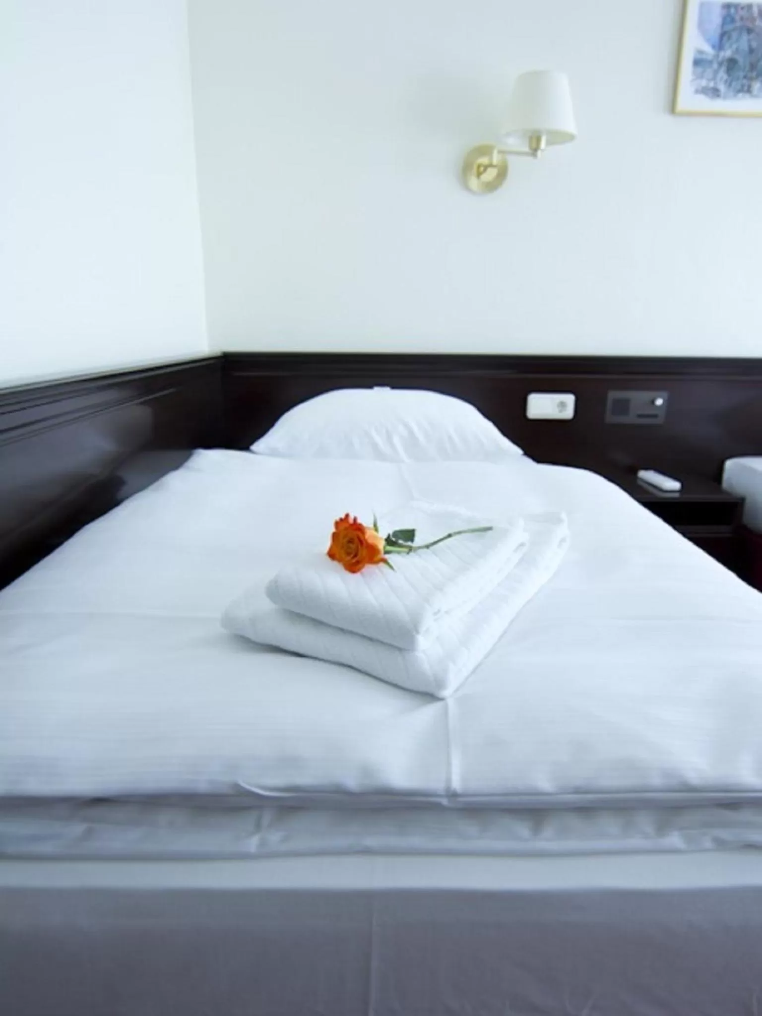 Standard Single Room in Sachsenwald Hotel Reinbek