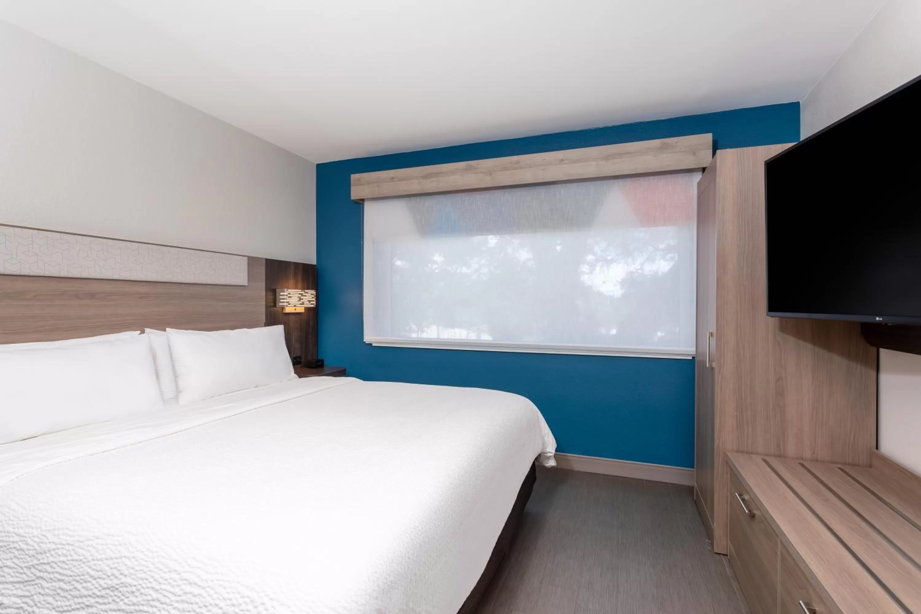 Suite - Mobility Access Roll in Shower/Non-Smoking in Holiday Inn Express Hotel Clearwater East - ICOT Center by IHG