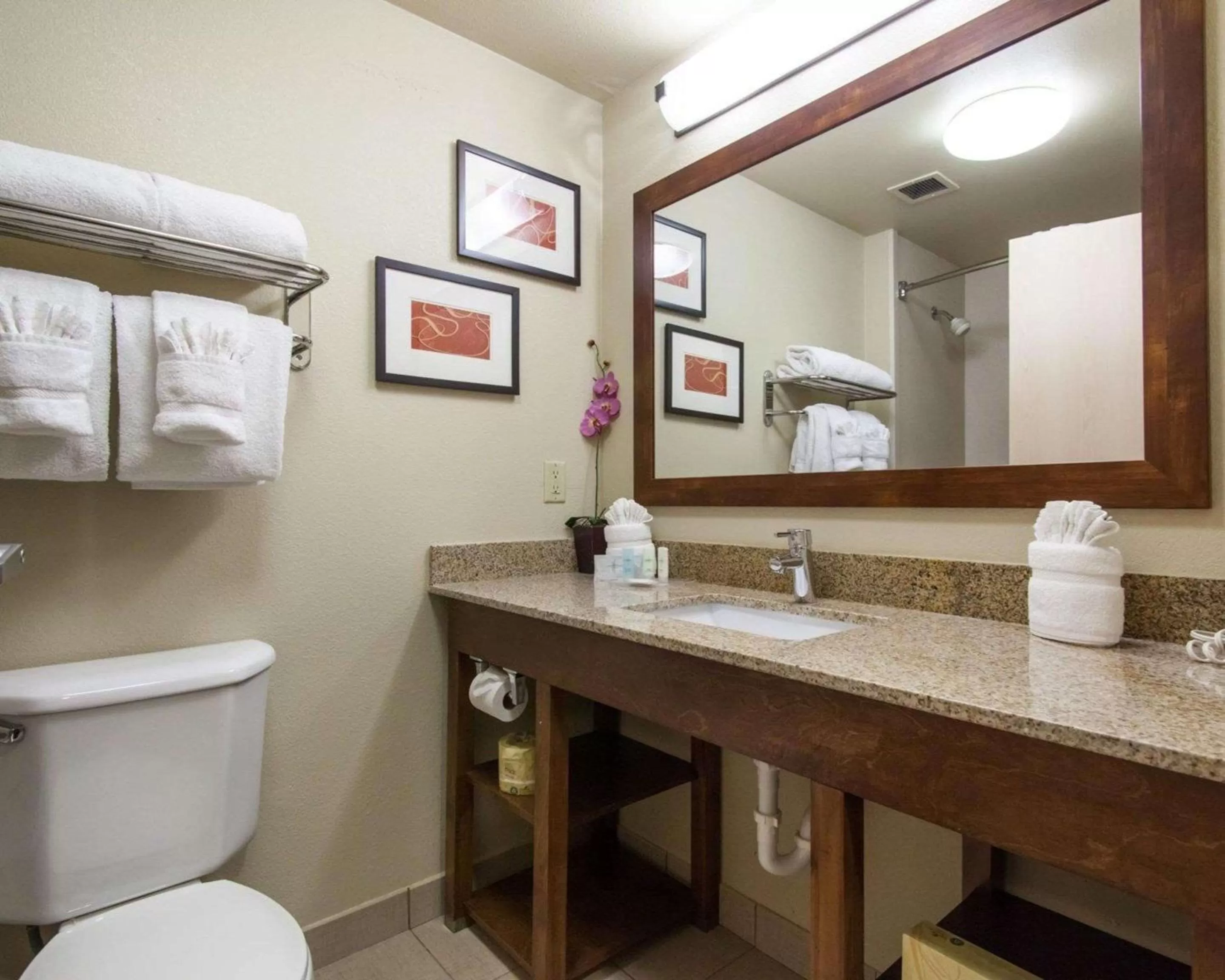 King Suite in Comfort Suites Tulsa Central