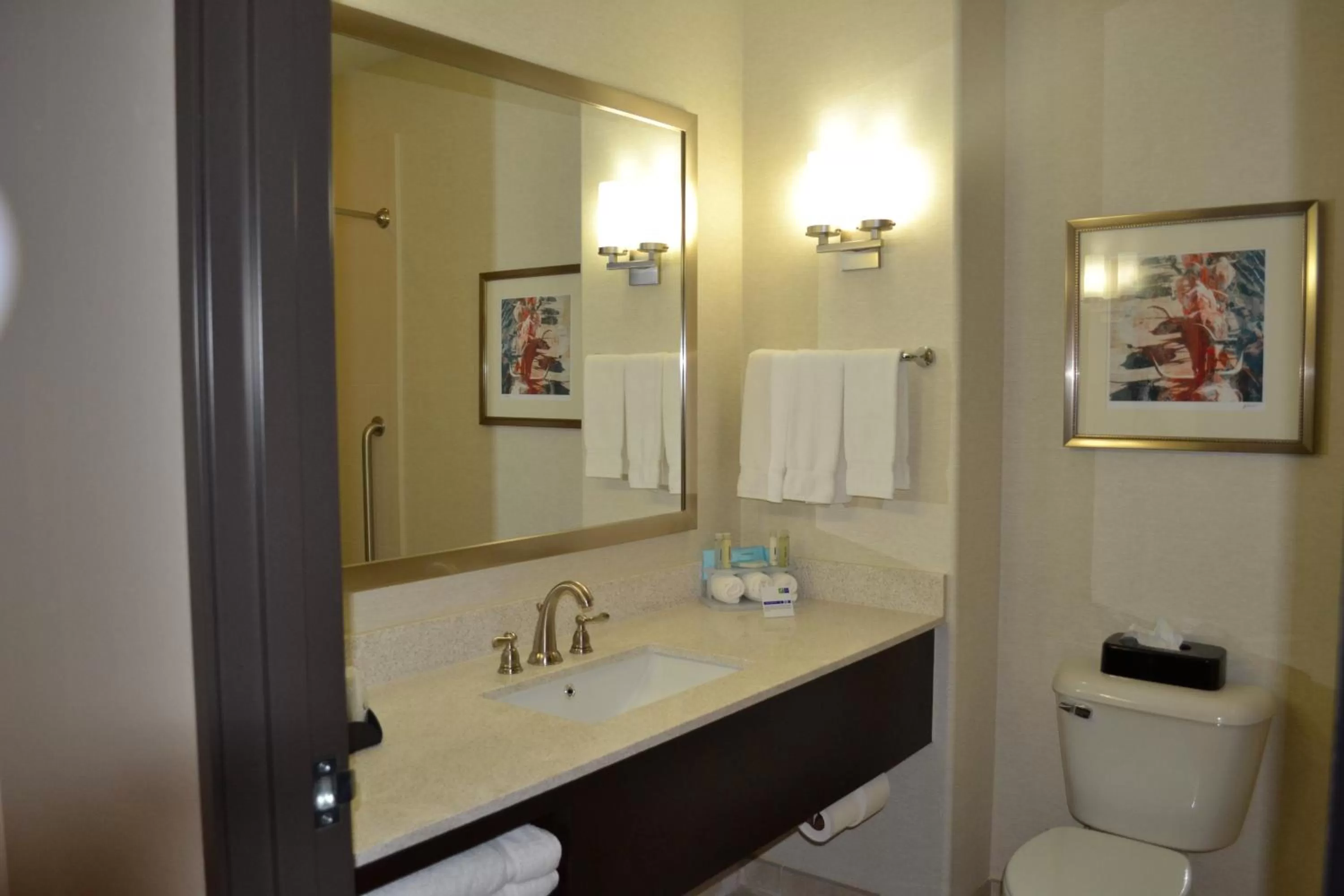 King Suite with Spa Bath in Holiday Inn Express Hotel and Suites Duncan by IHG