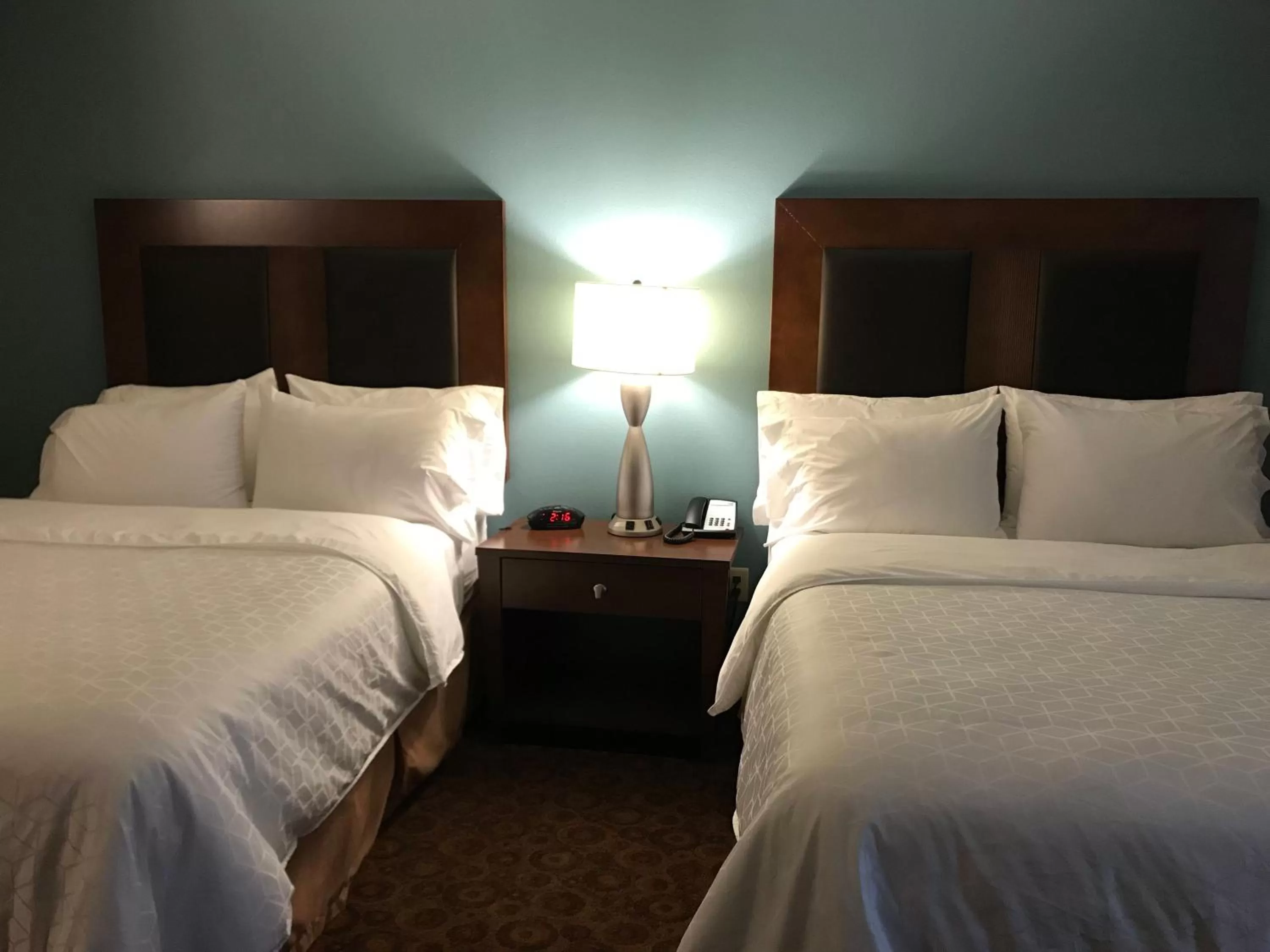 One-Bedroom Queen Suite in Holiday Inn Express and Suites St. Cloud by IHG