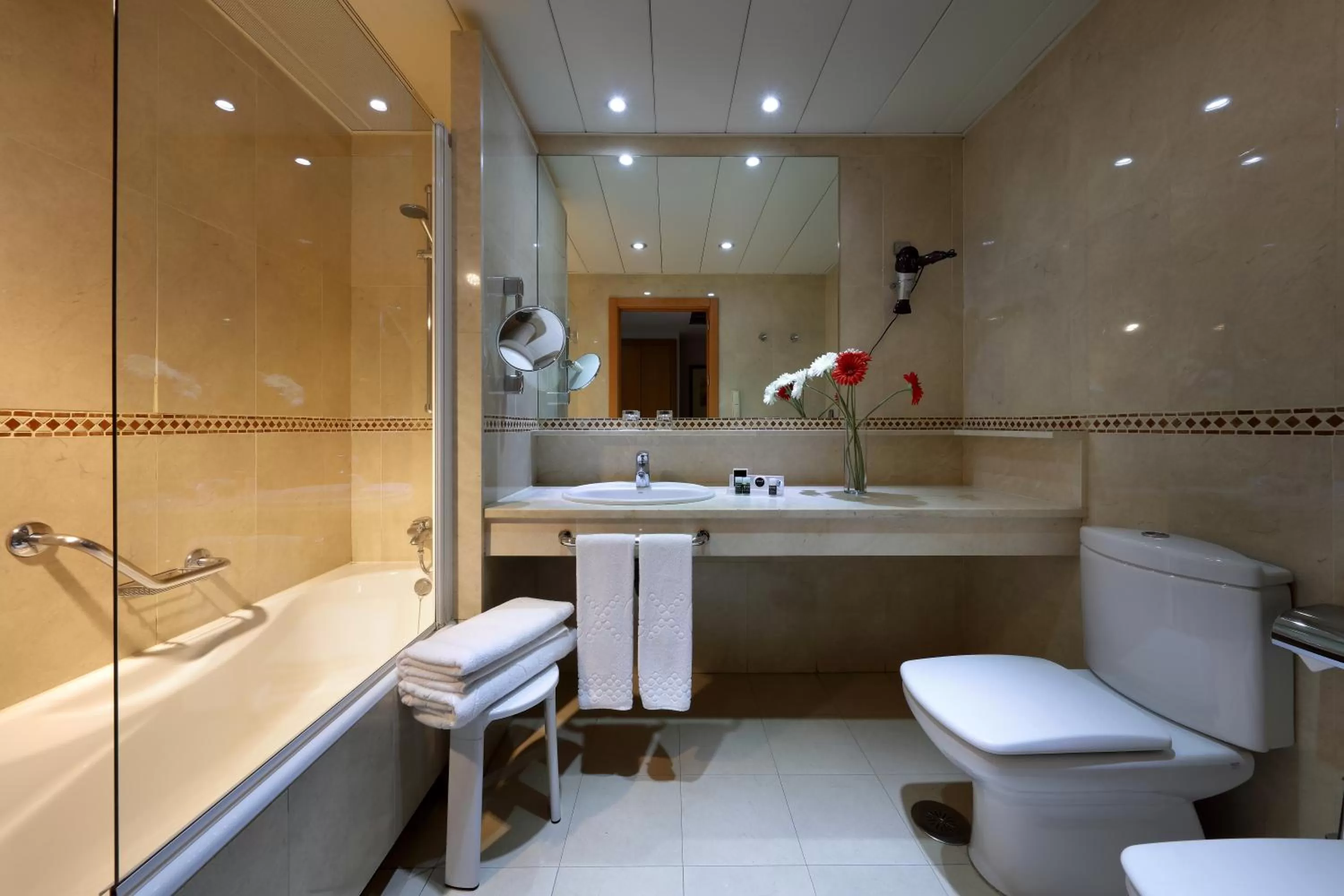 Double or Twin Room in Exe Plaza