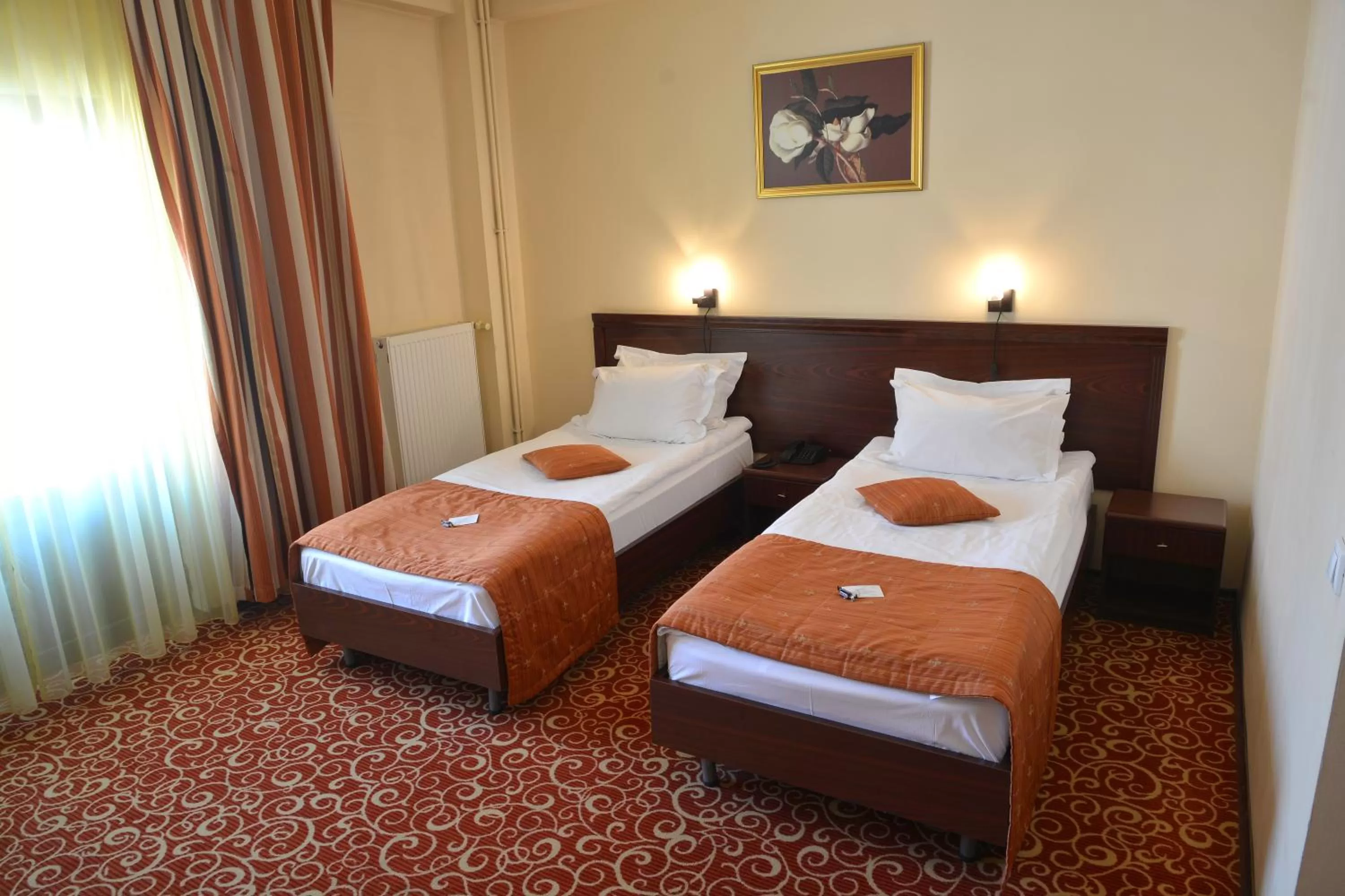 Standard Double or Twin Room in Hotel Central