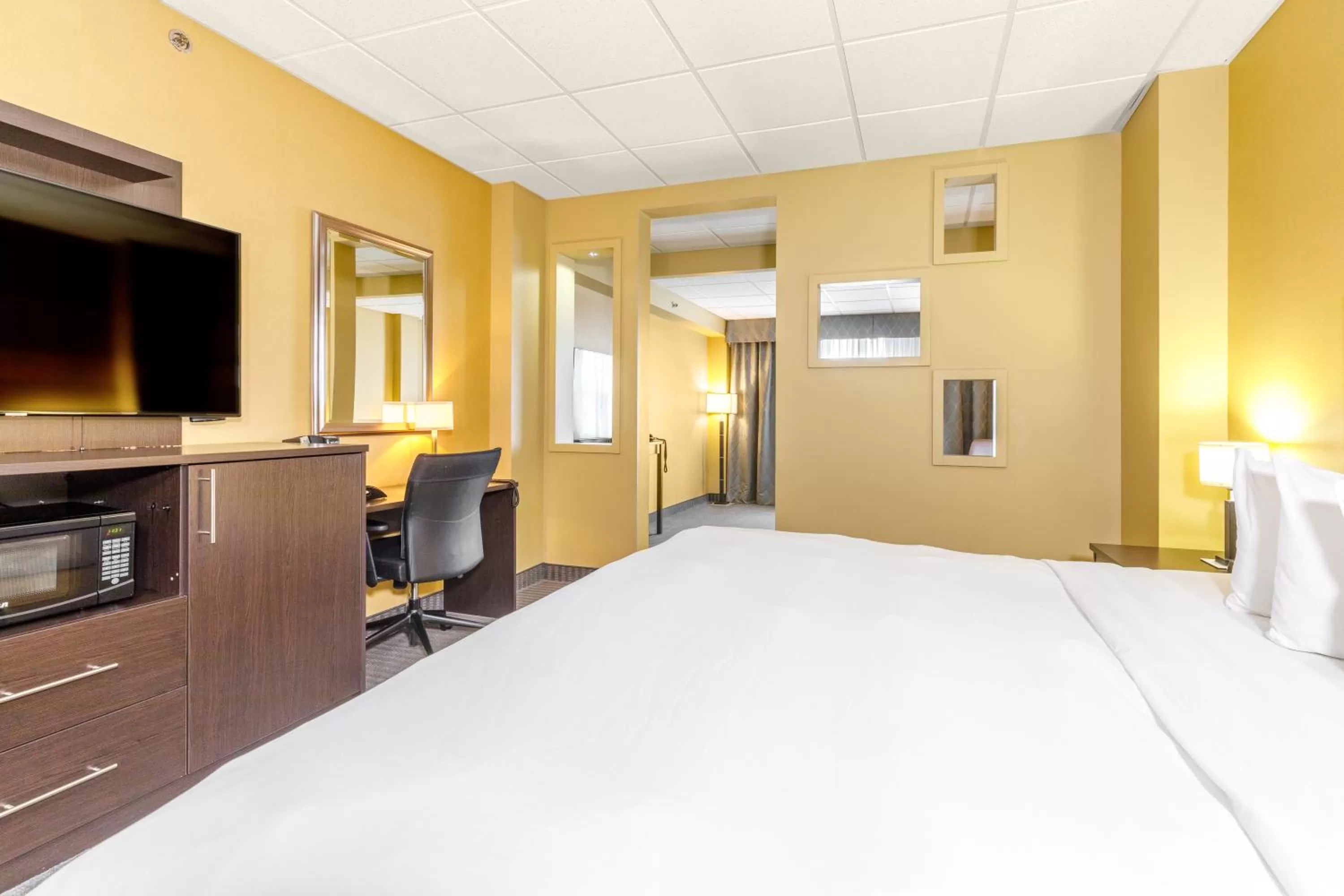 Junior King Suite - Non-Smoking in Quality Inn & Suites