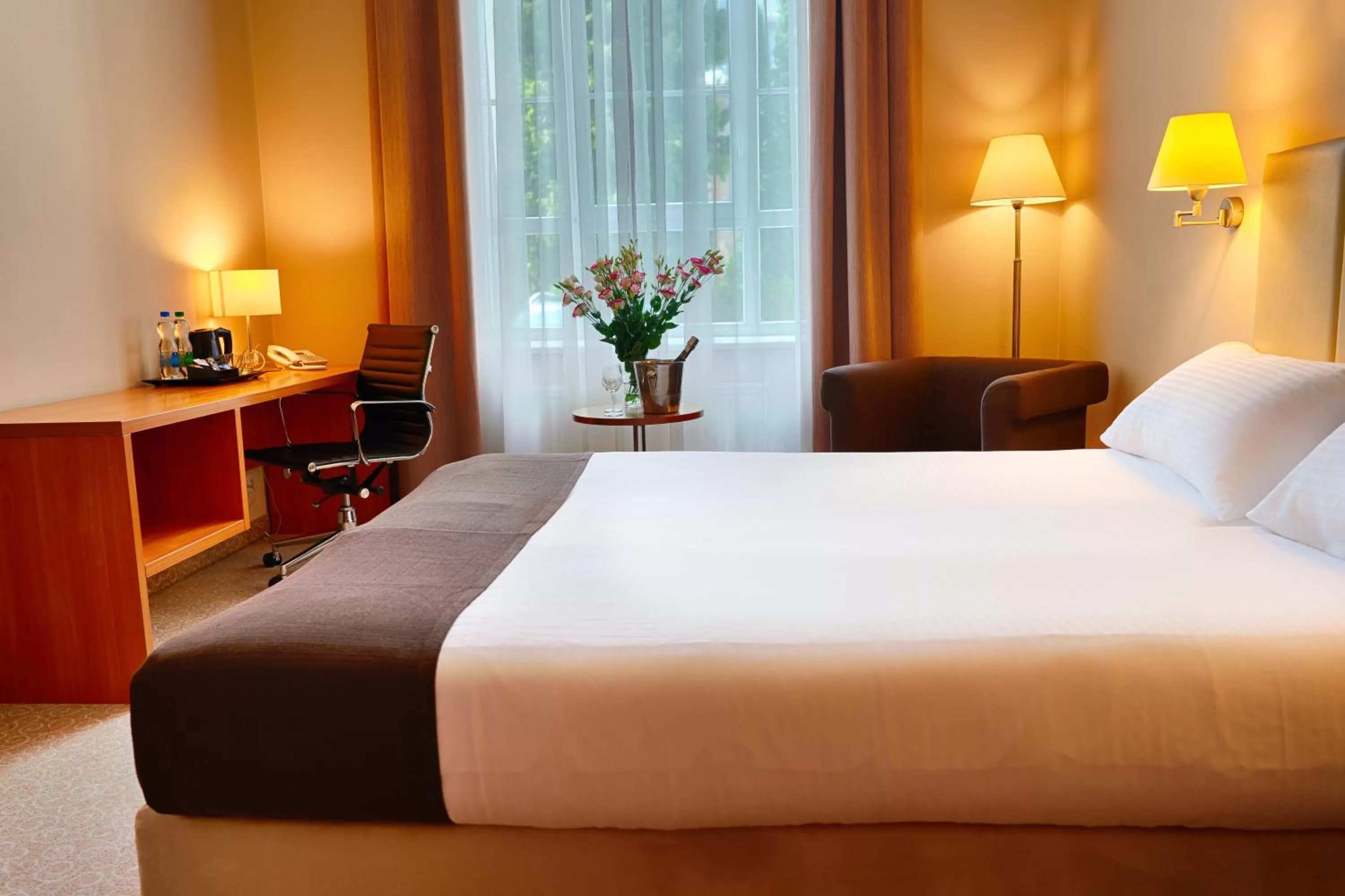 Single Room in Focus Hotel Łódź