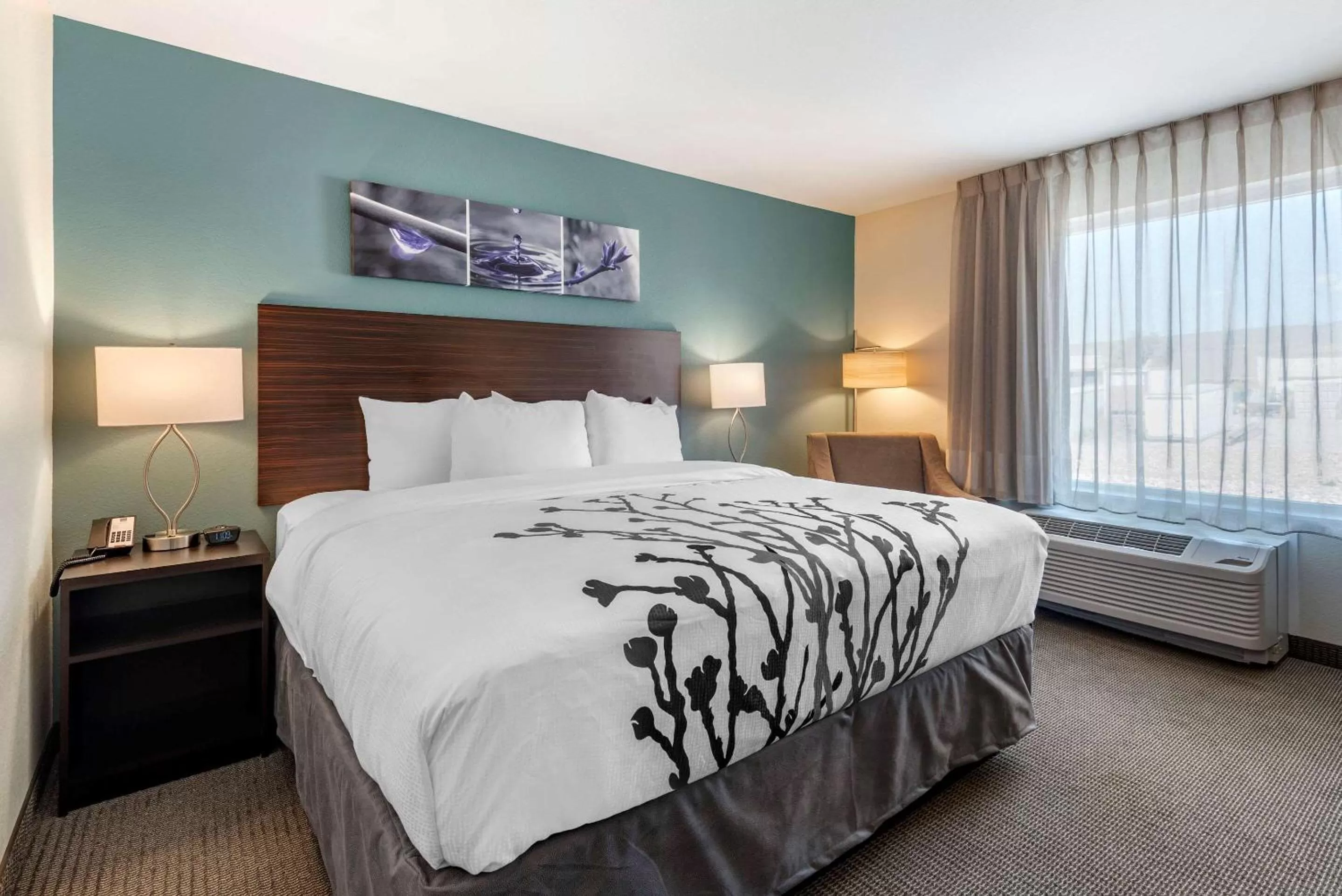 Standard King Room - Non-Smoking  in Sleep Inn Durango